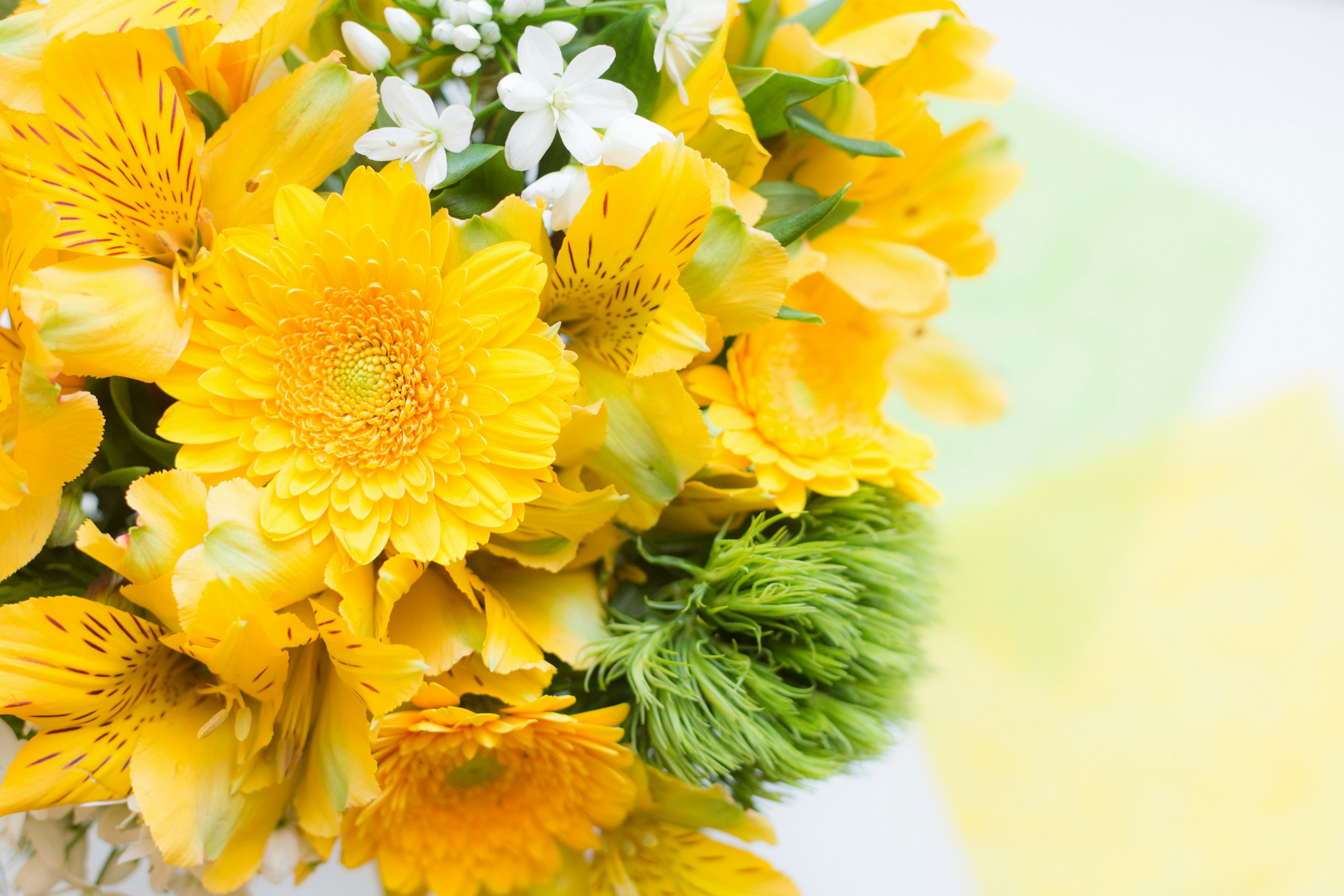 鮮やかな黄色の花束に白い花と緑の葉が混ざり合った美しいアレンジメント