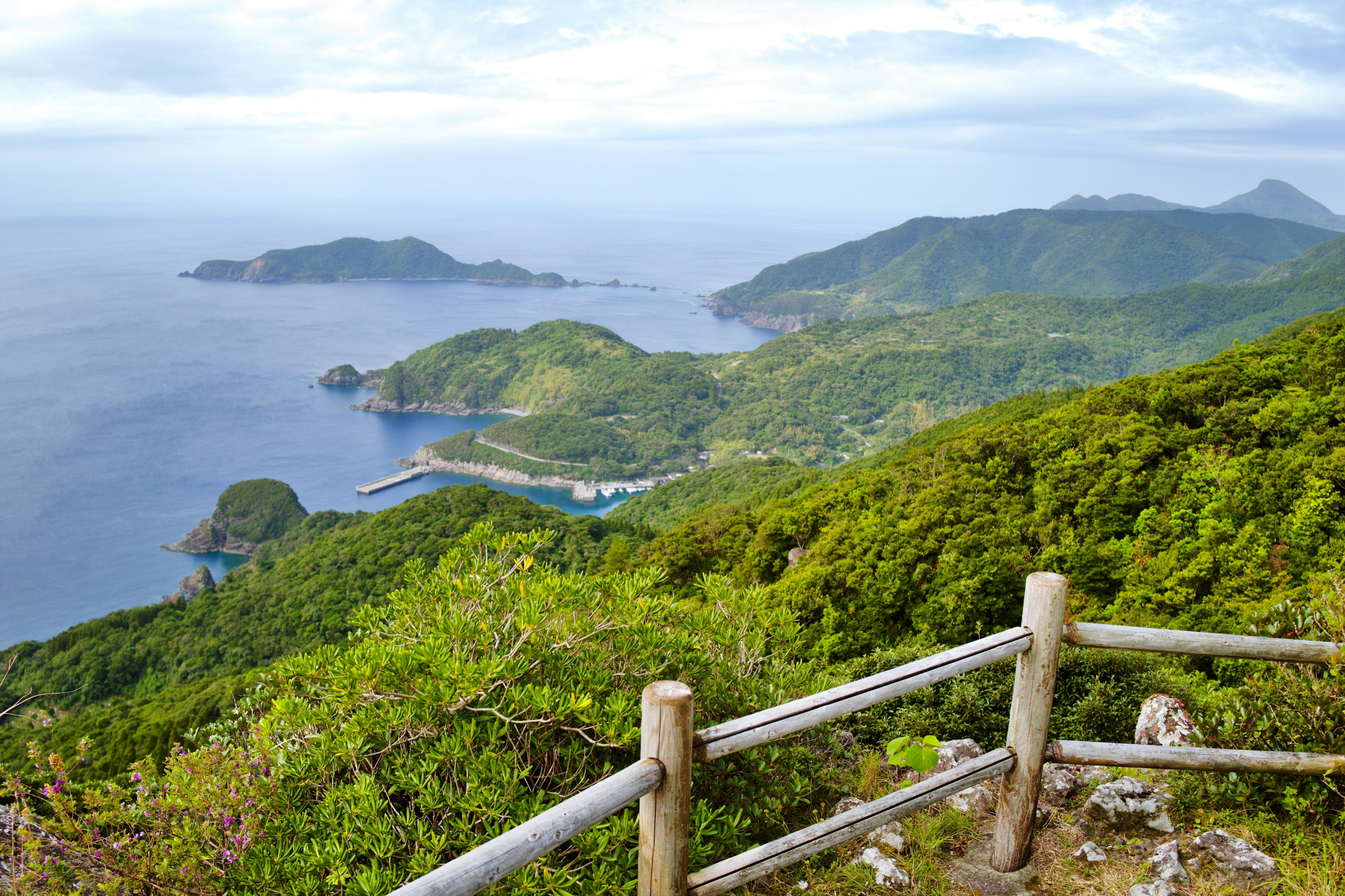 Lush green mountain landscape with ocean view