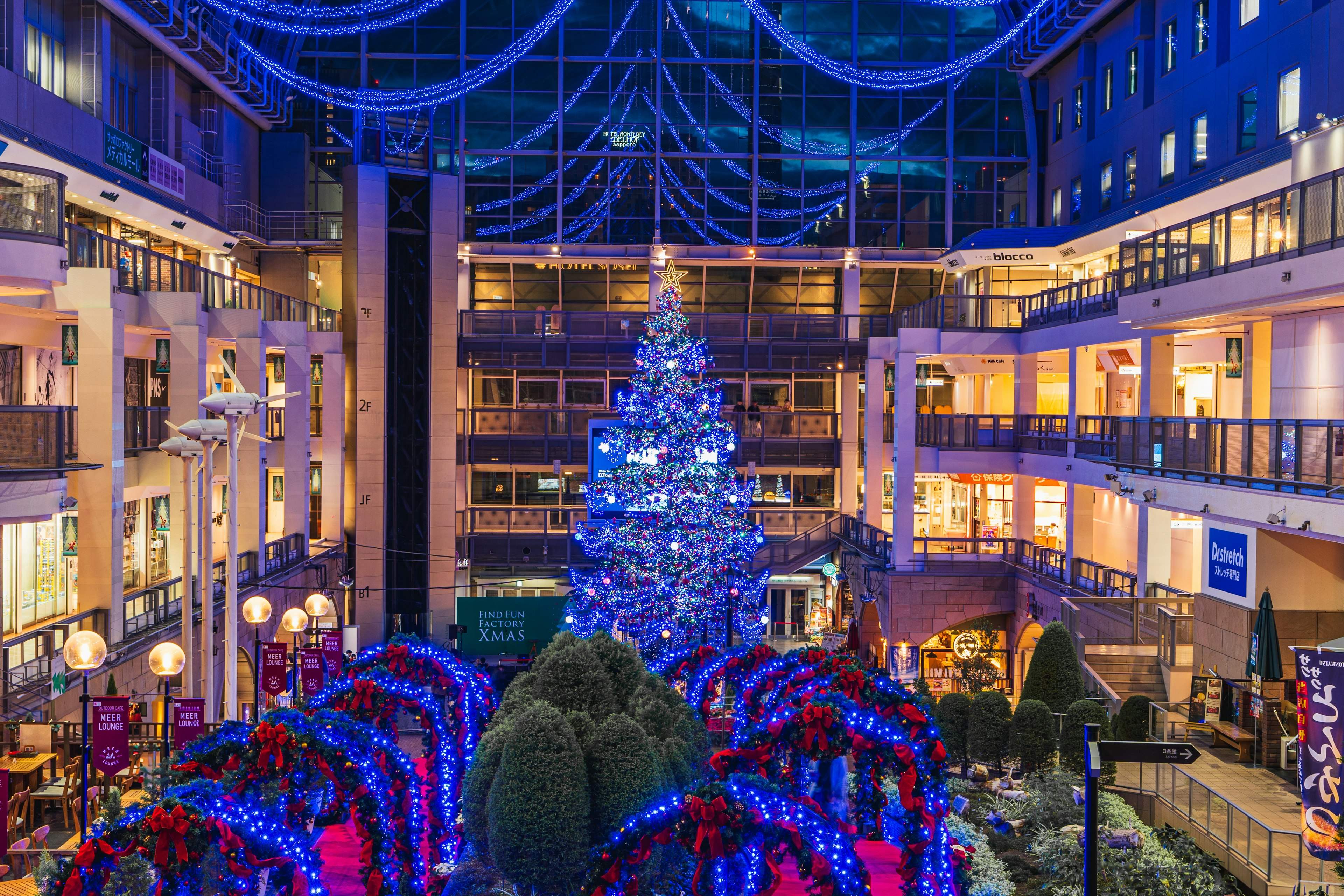 青いライトで装飾されたクリスマスツリーが中央にあり周囲には色とりどりの装飾が施された植物が並んでいる