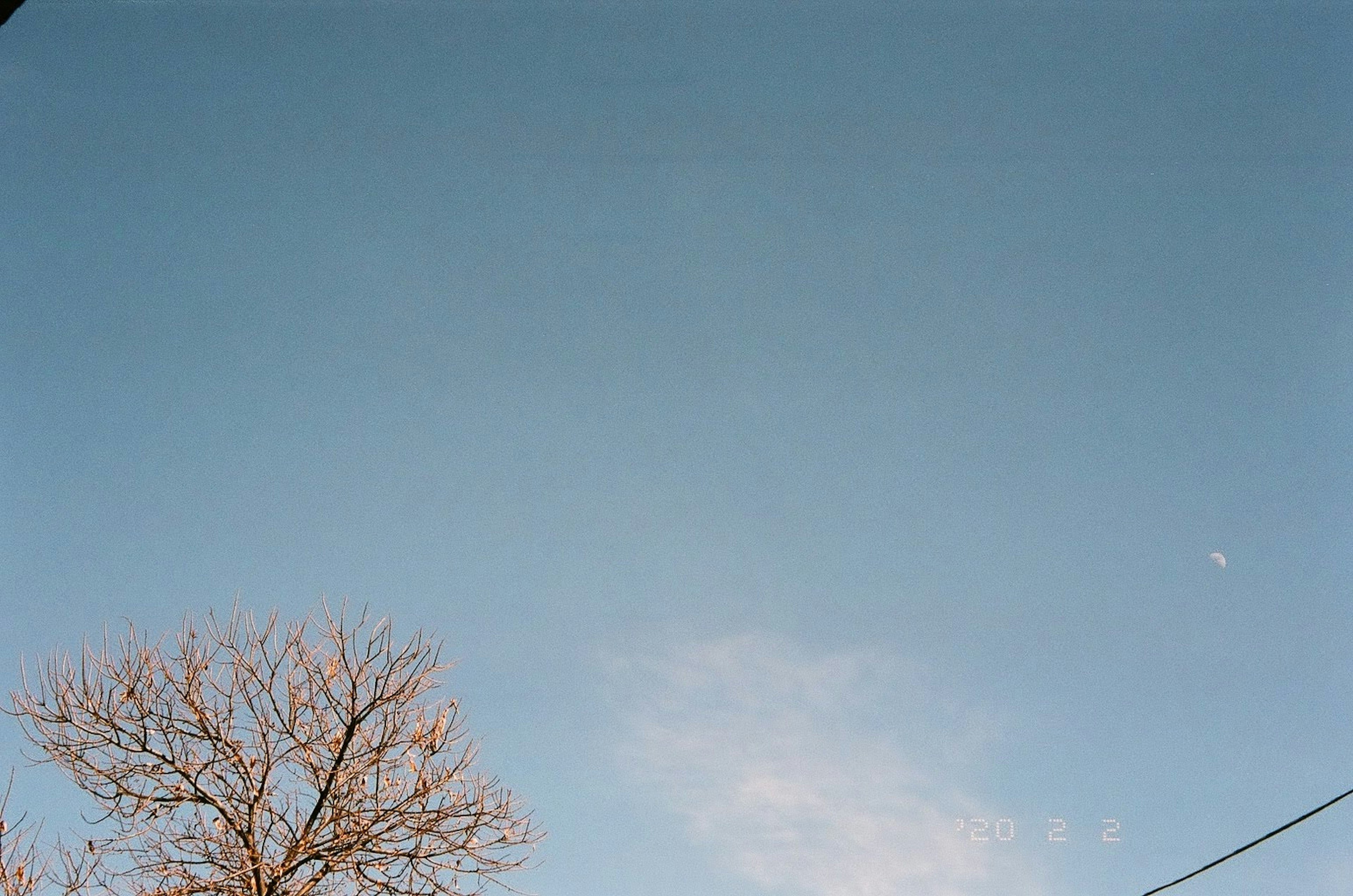 Cielo azul claro con nubes y una luna creciente sobre un árbol desnudo