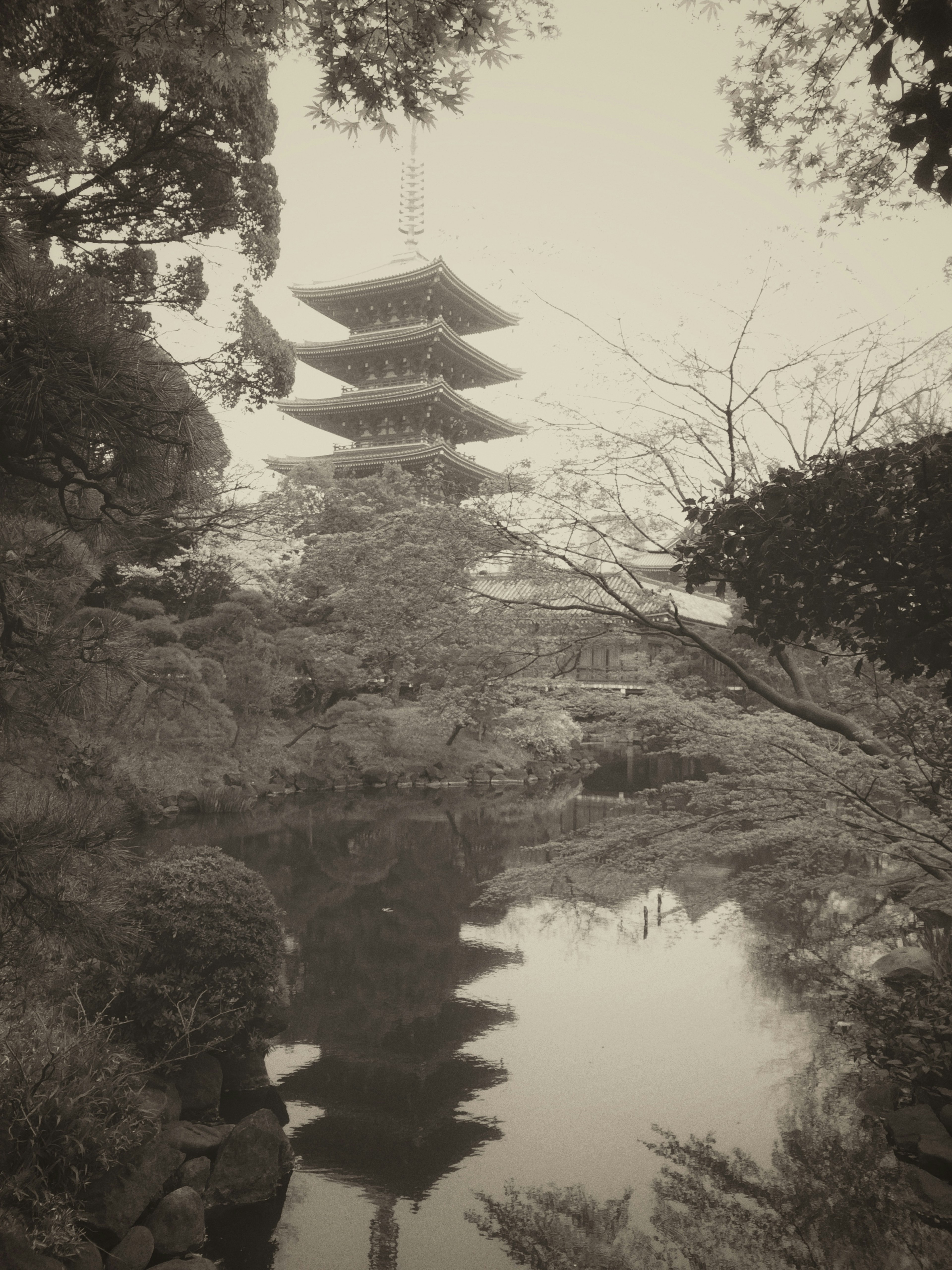 池のほとりに立つ五重塔の風景