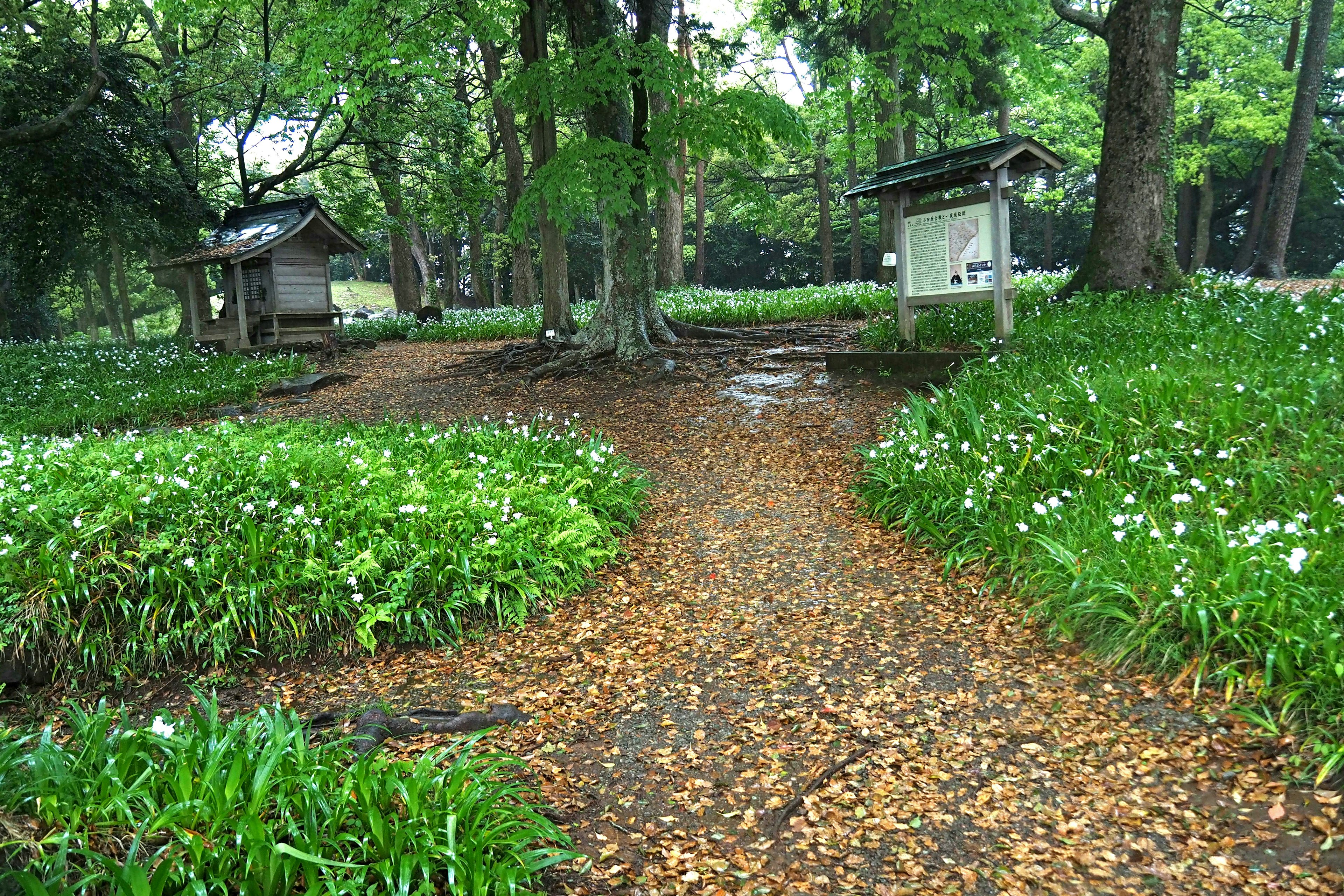 Pathway surrounded by lush greenery and small structures in a park