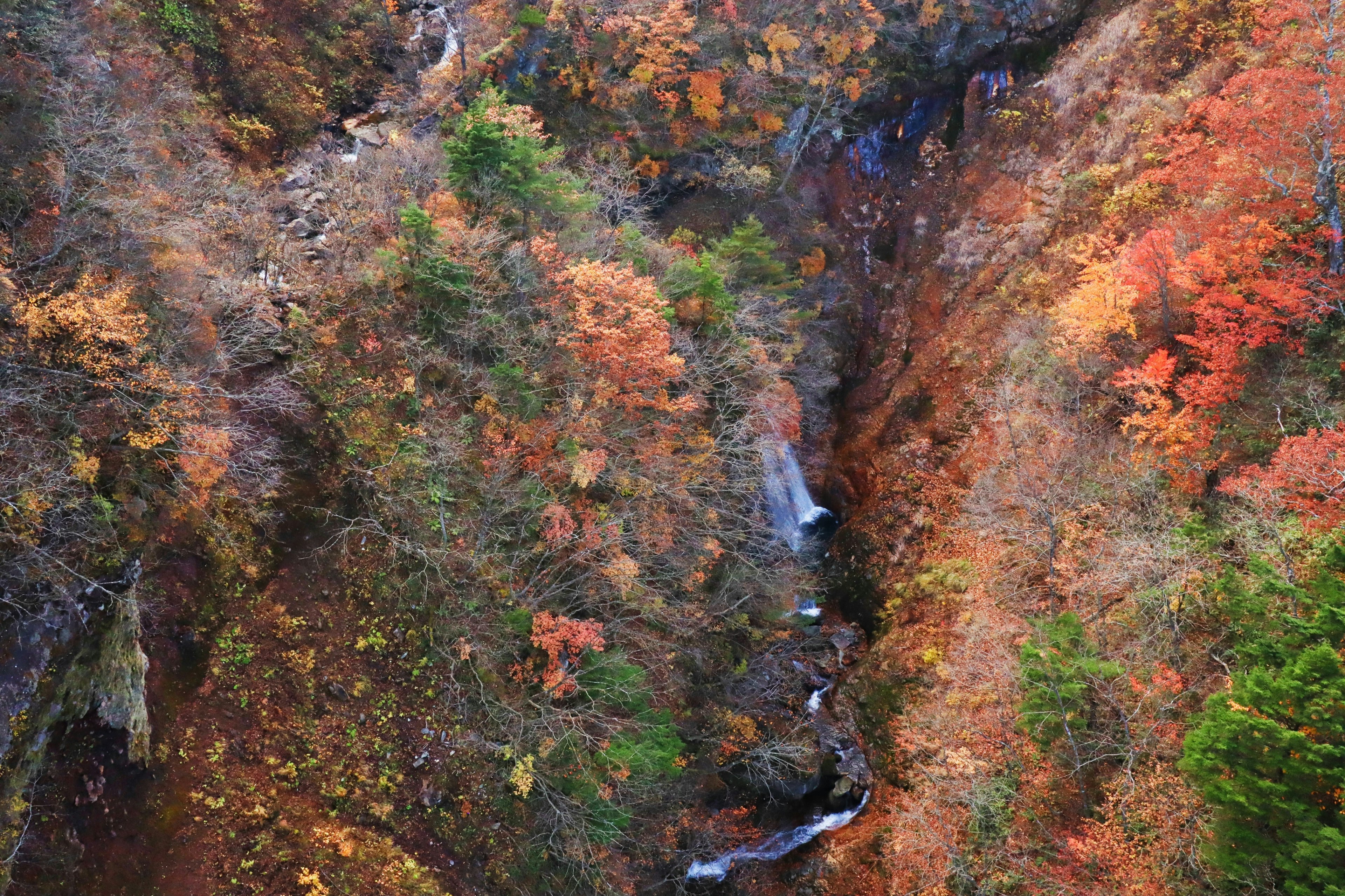 A scenic canyon view with vibrant autumn foliage and a small waterfall