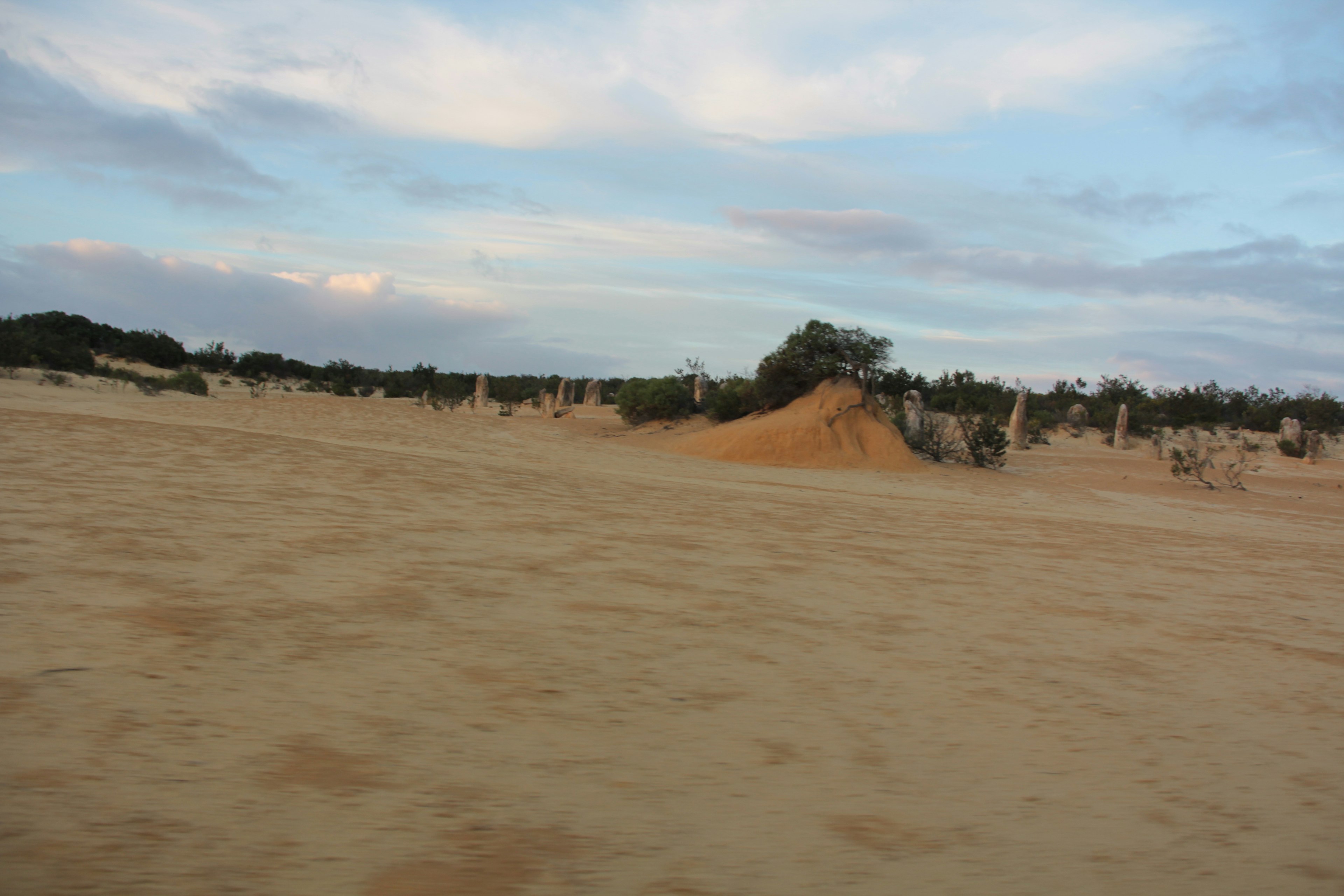 Duna pasir yang luas dengan pohon-pohon di kejauhan