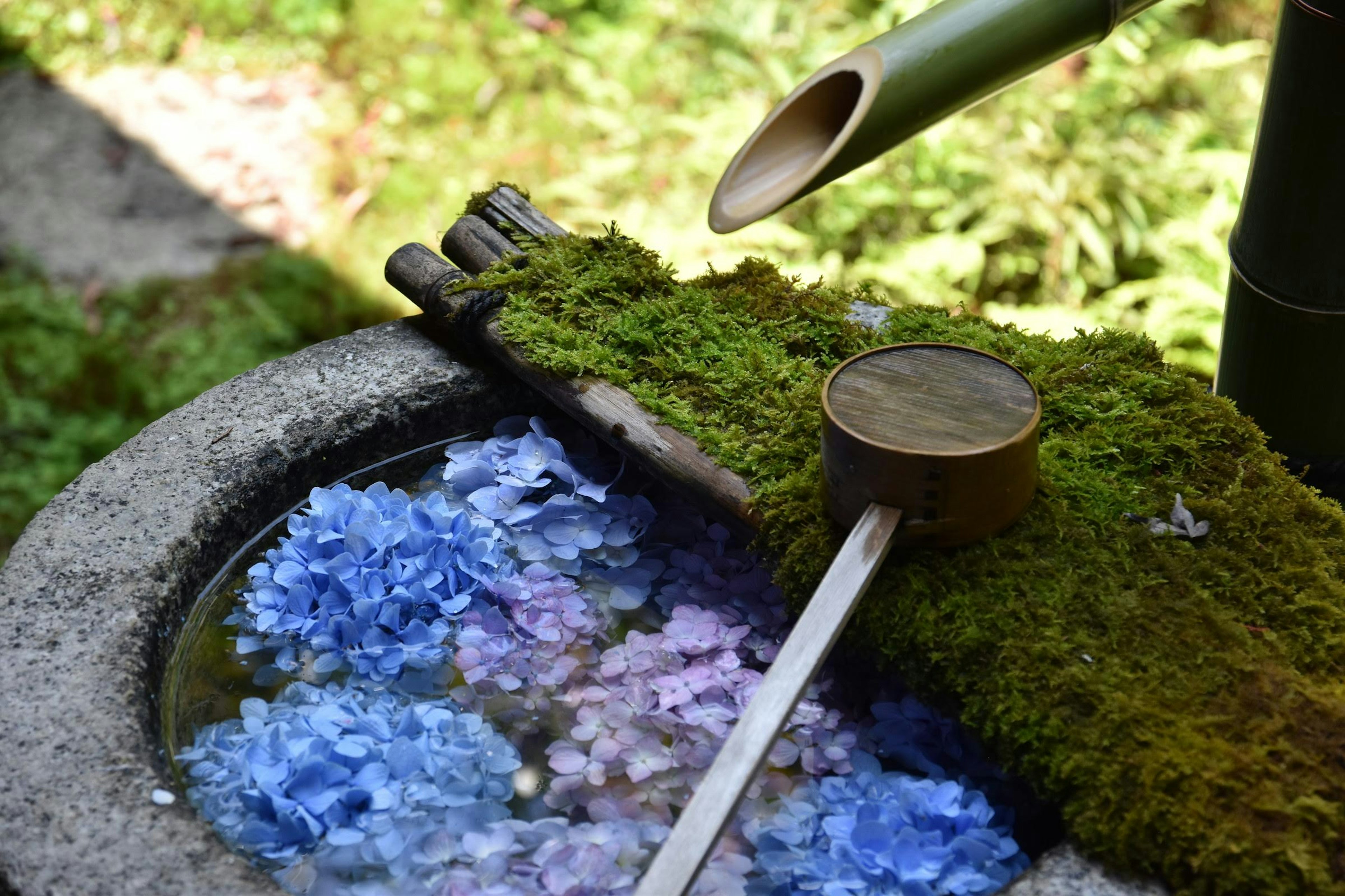 Hydrangeas floating in water with a wooden ladle resting on moss