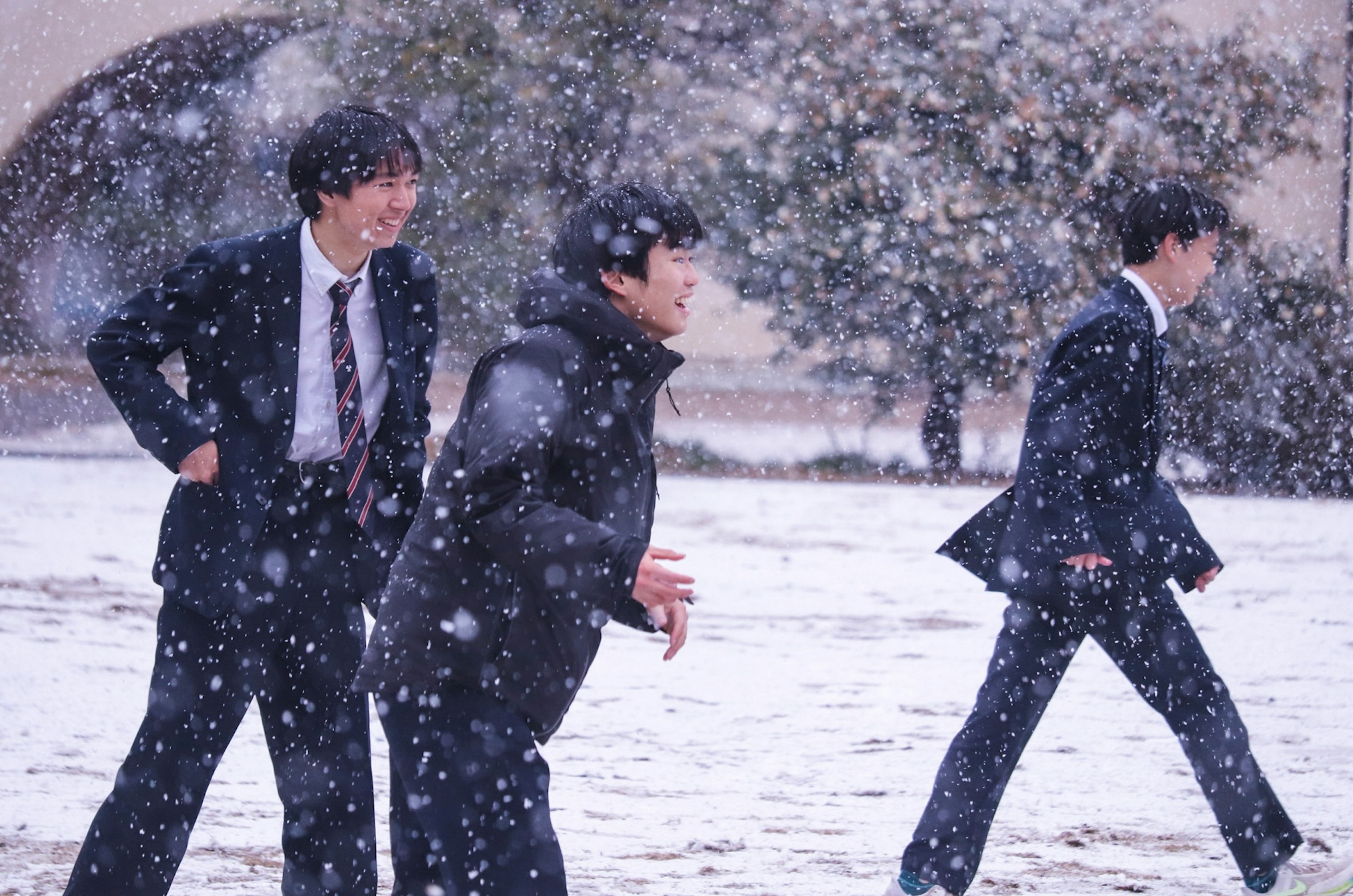 photo-t1243qqw2kEnoHKkyeoU-image