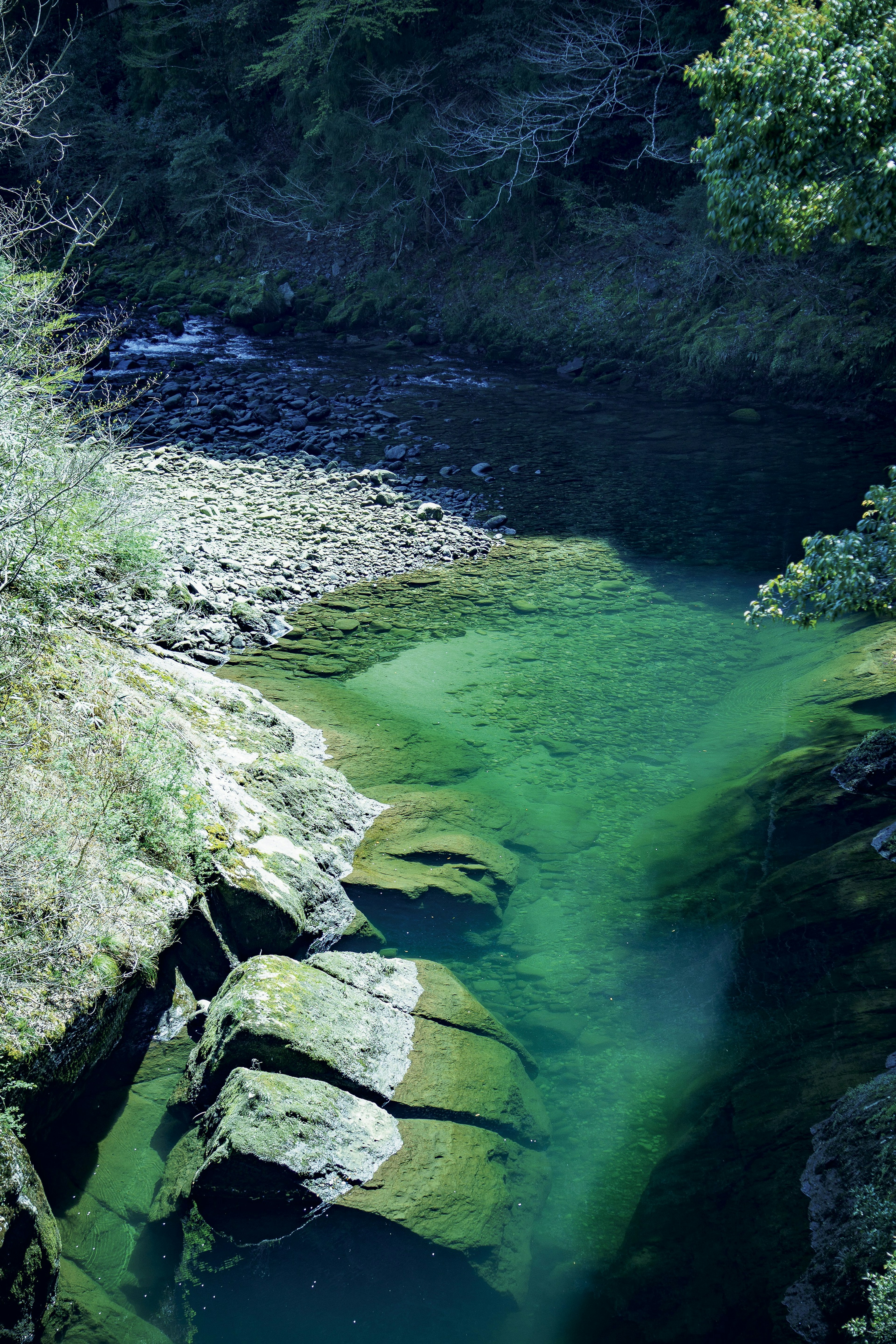 透明な水が流れる川の景色 岩と緑の植生が特徴的