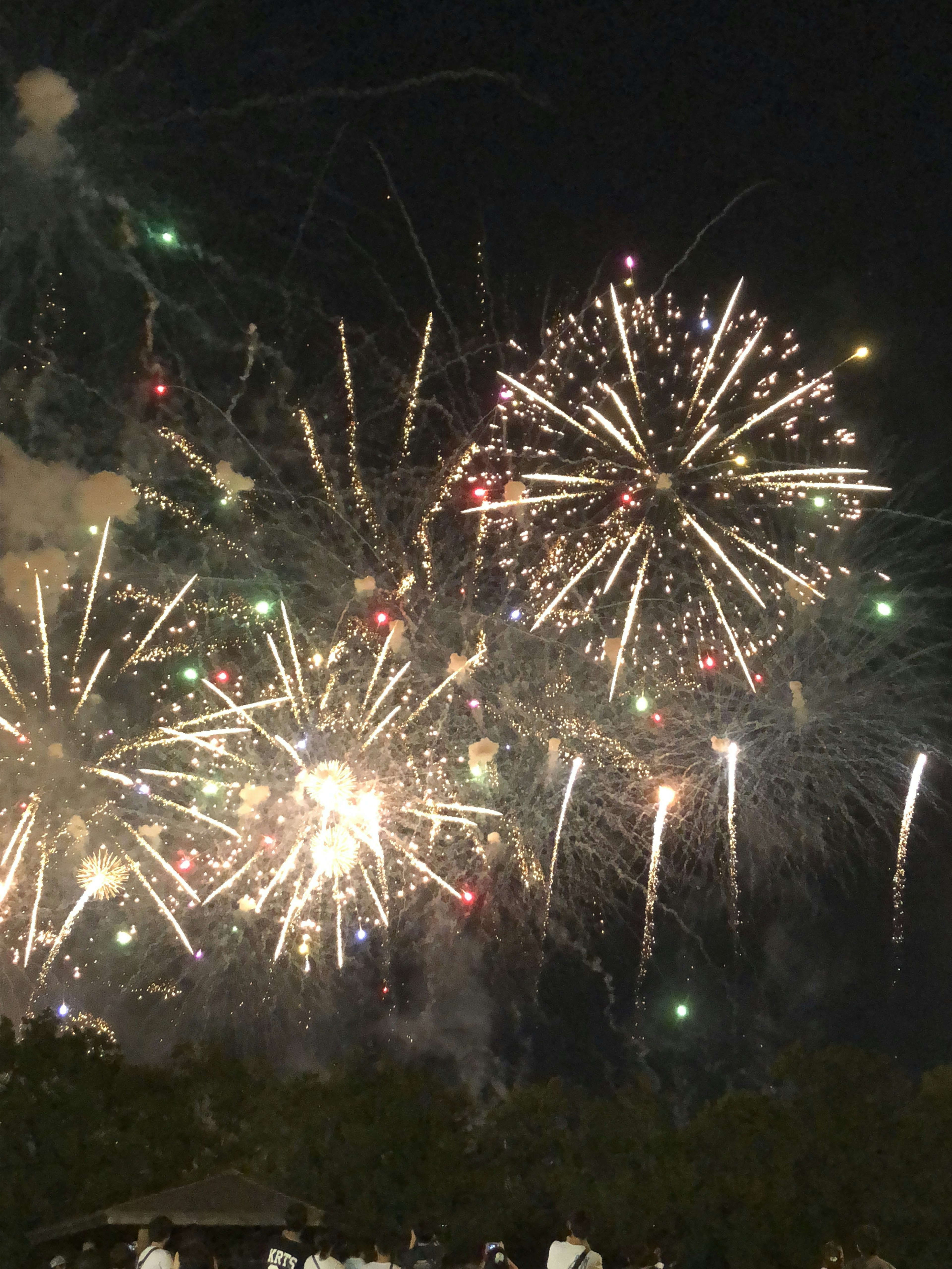 Fuegos artificiales coloridos estallando en el cielo nocturno