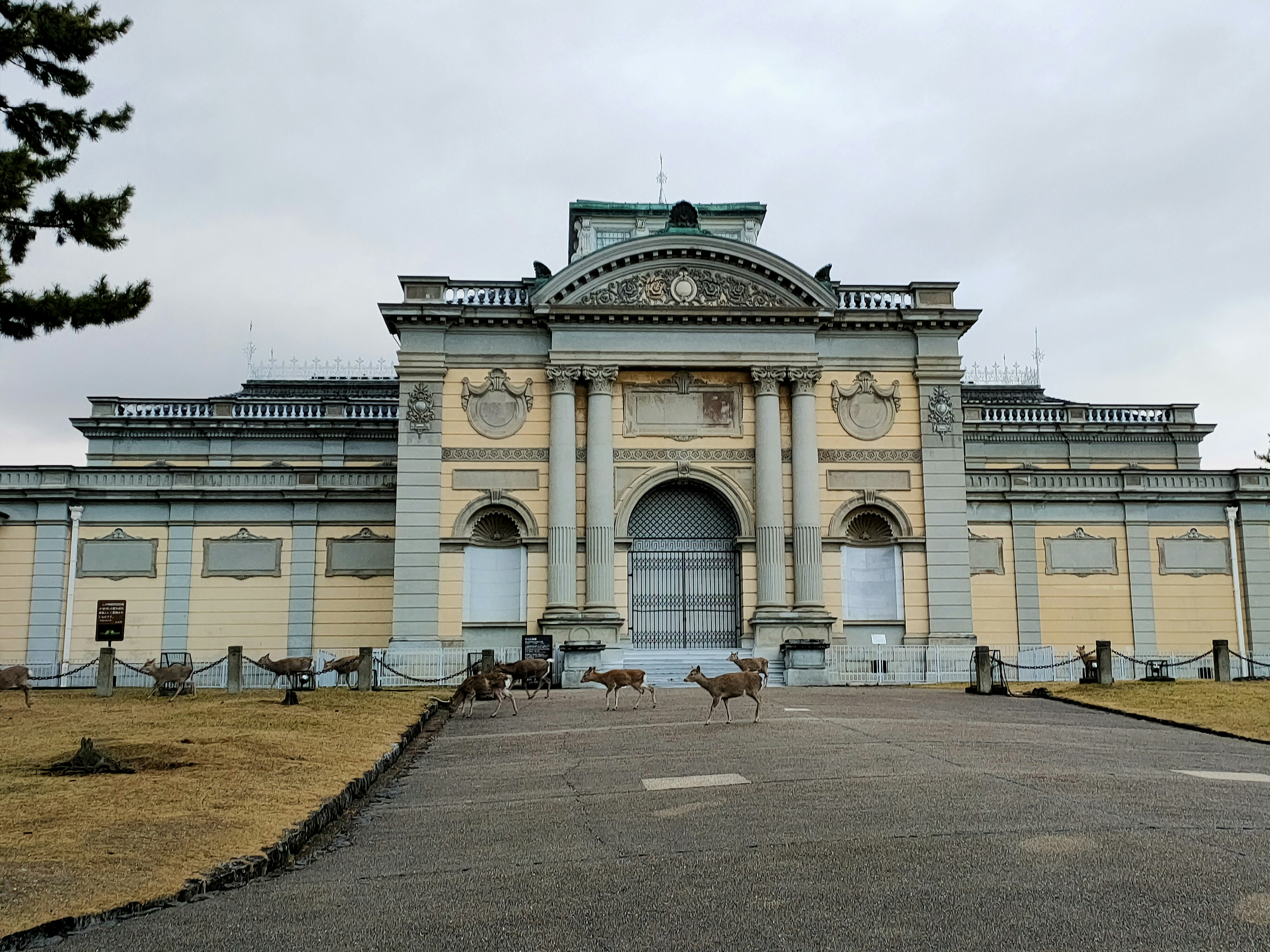 Fachada elegante de un edificio histórico con naturaleza circundante