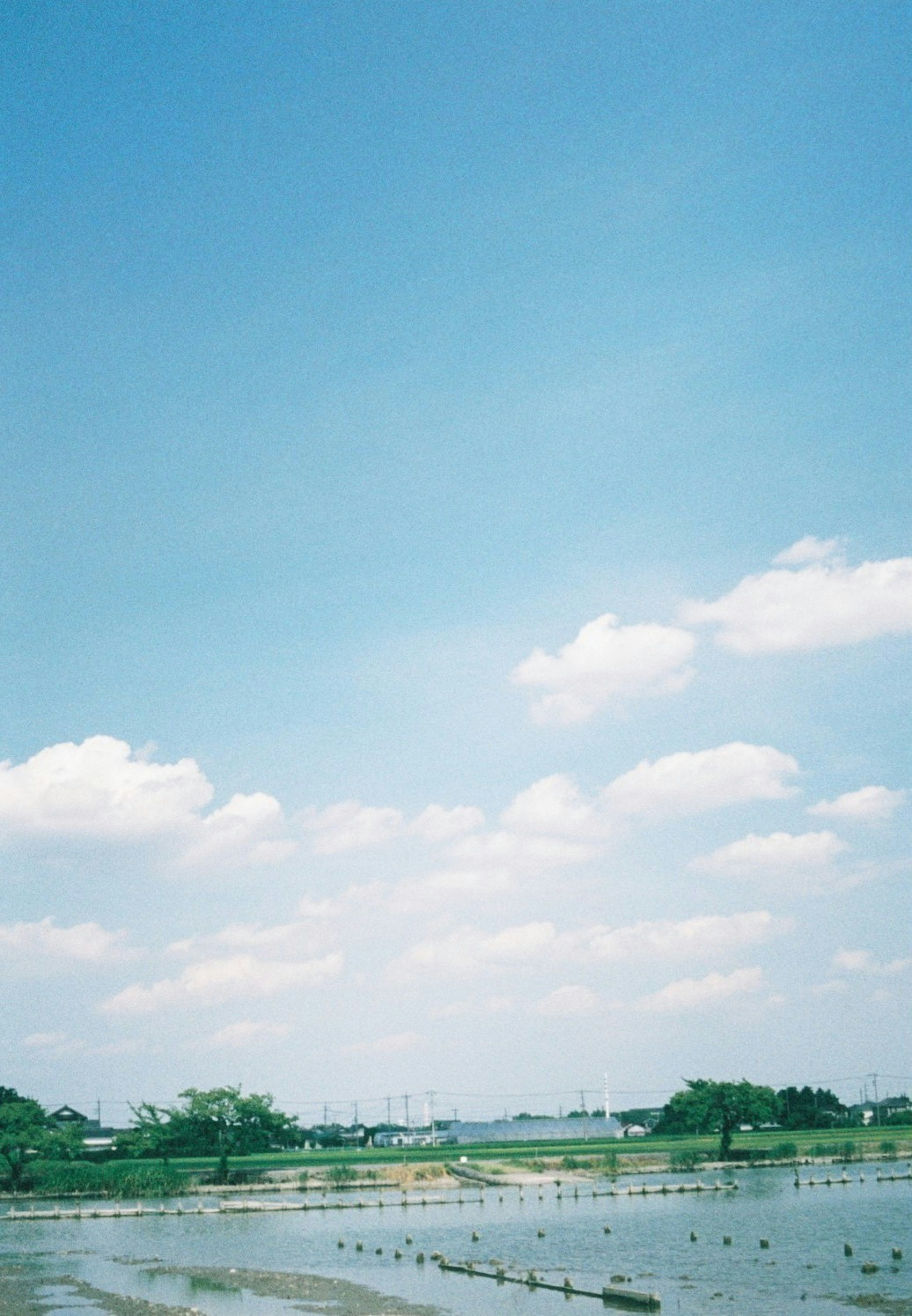 Paesaggio con cielo azzurro e nuvole bianche su un campo di riso