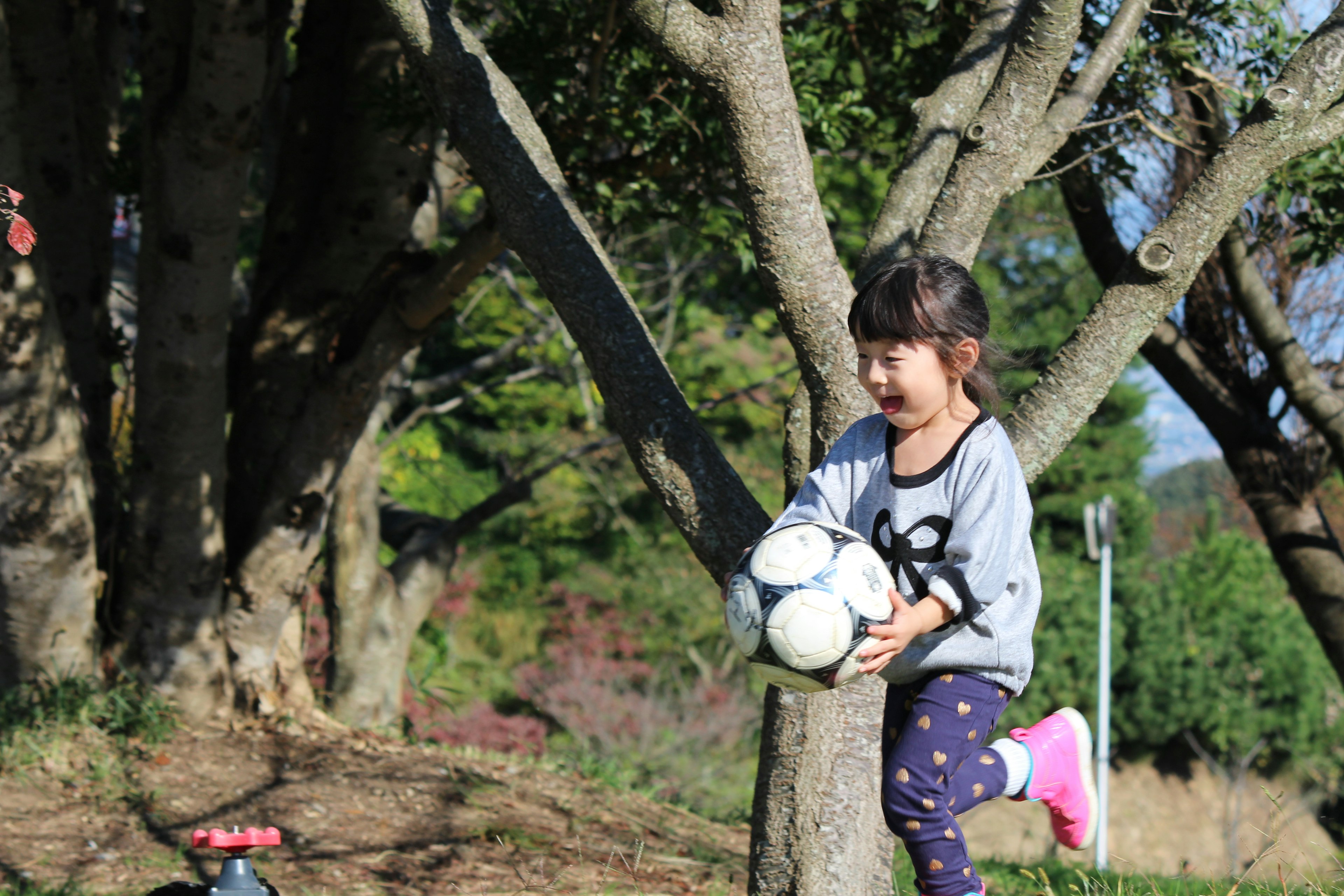 女孩在公園裡抱著足球