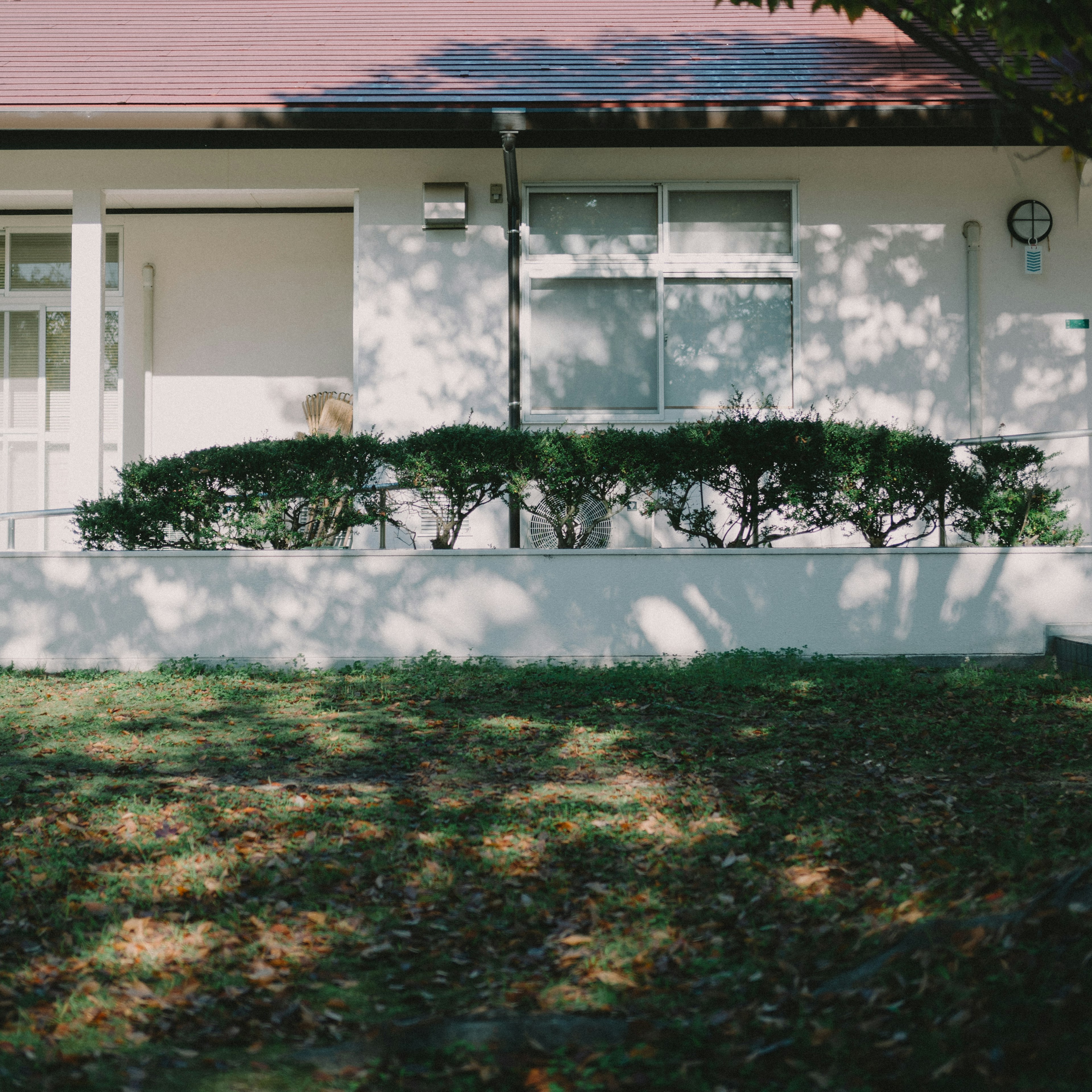 Une maison aux murs blancs avec une haie basse devant et de belles ombres