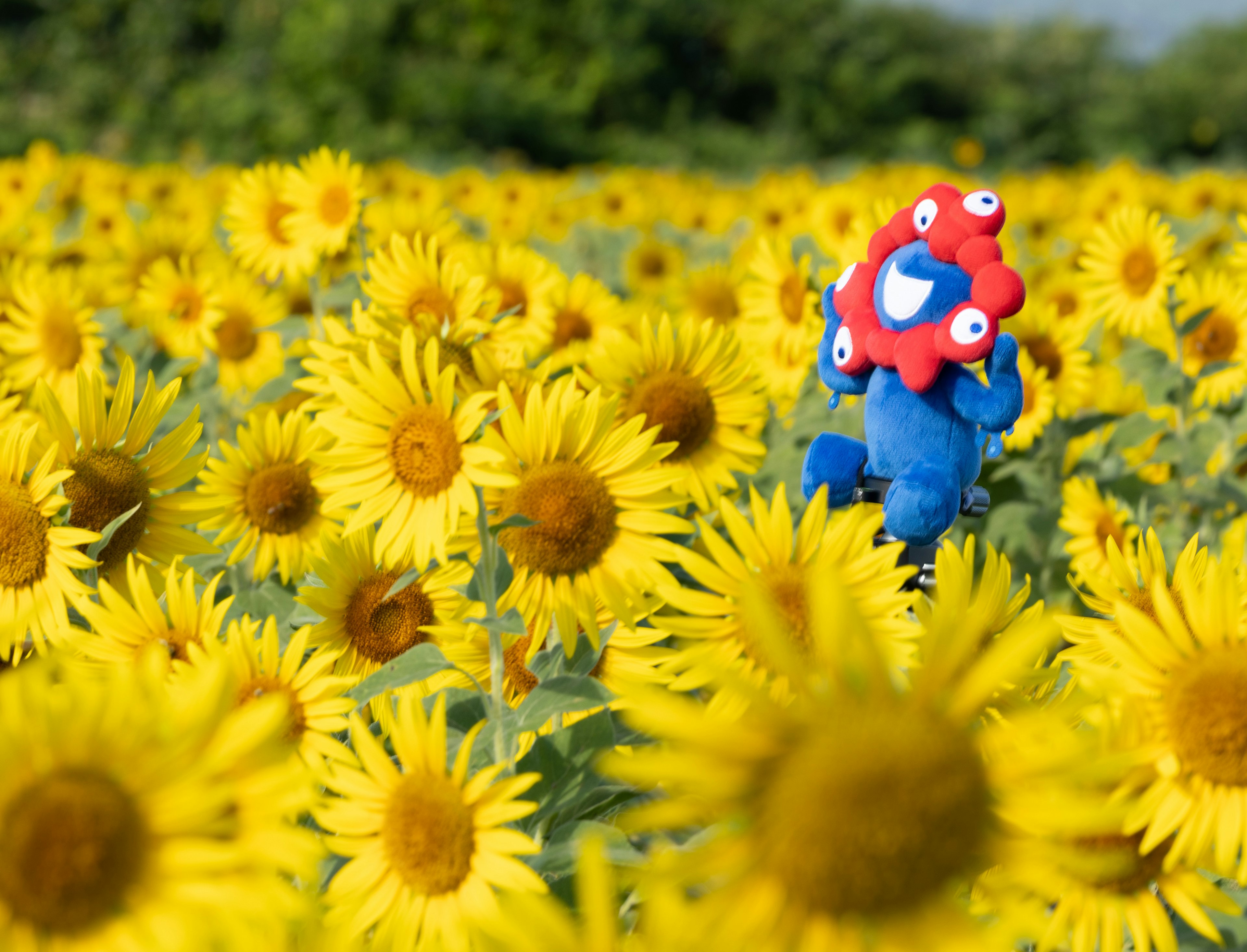 A blue character with a red decorative head among sunflowers