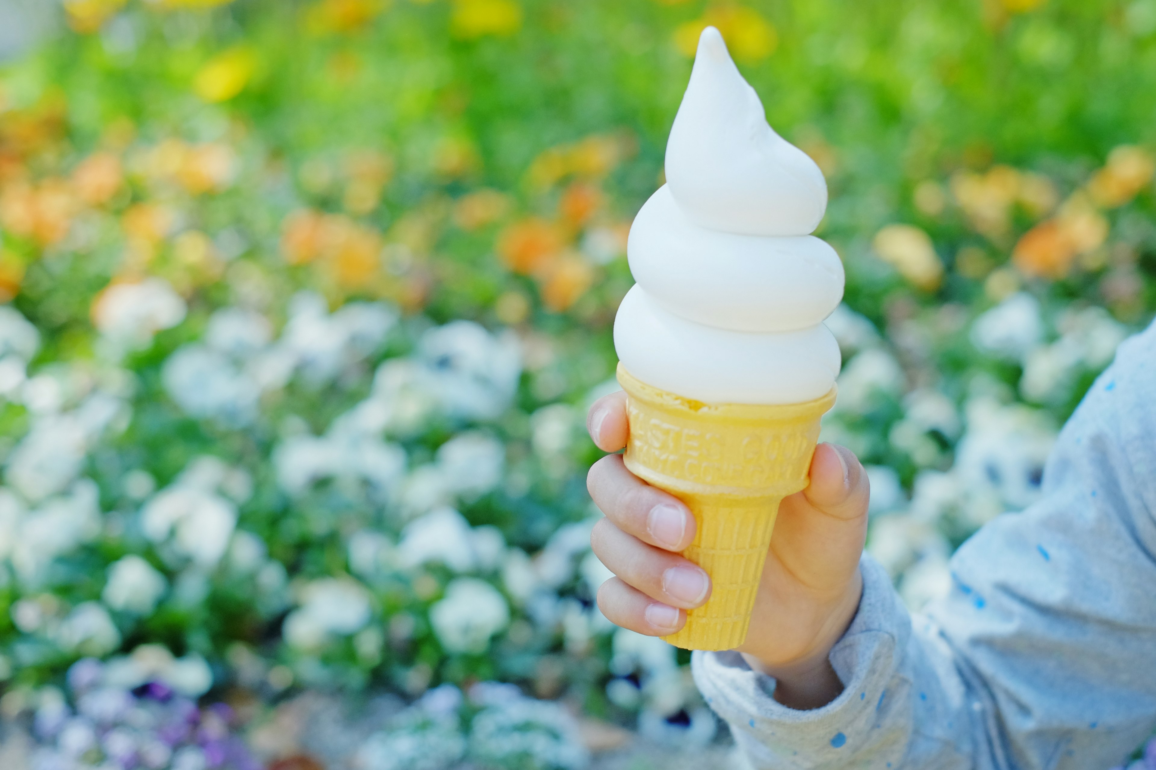 Mano sosteniendo un cono de helado suave con un jardín de flores de fondo