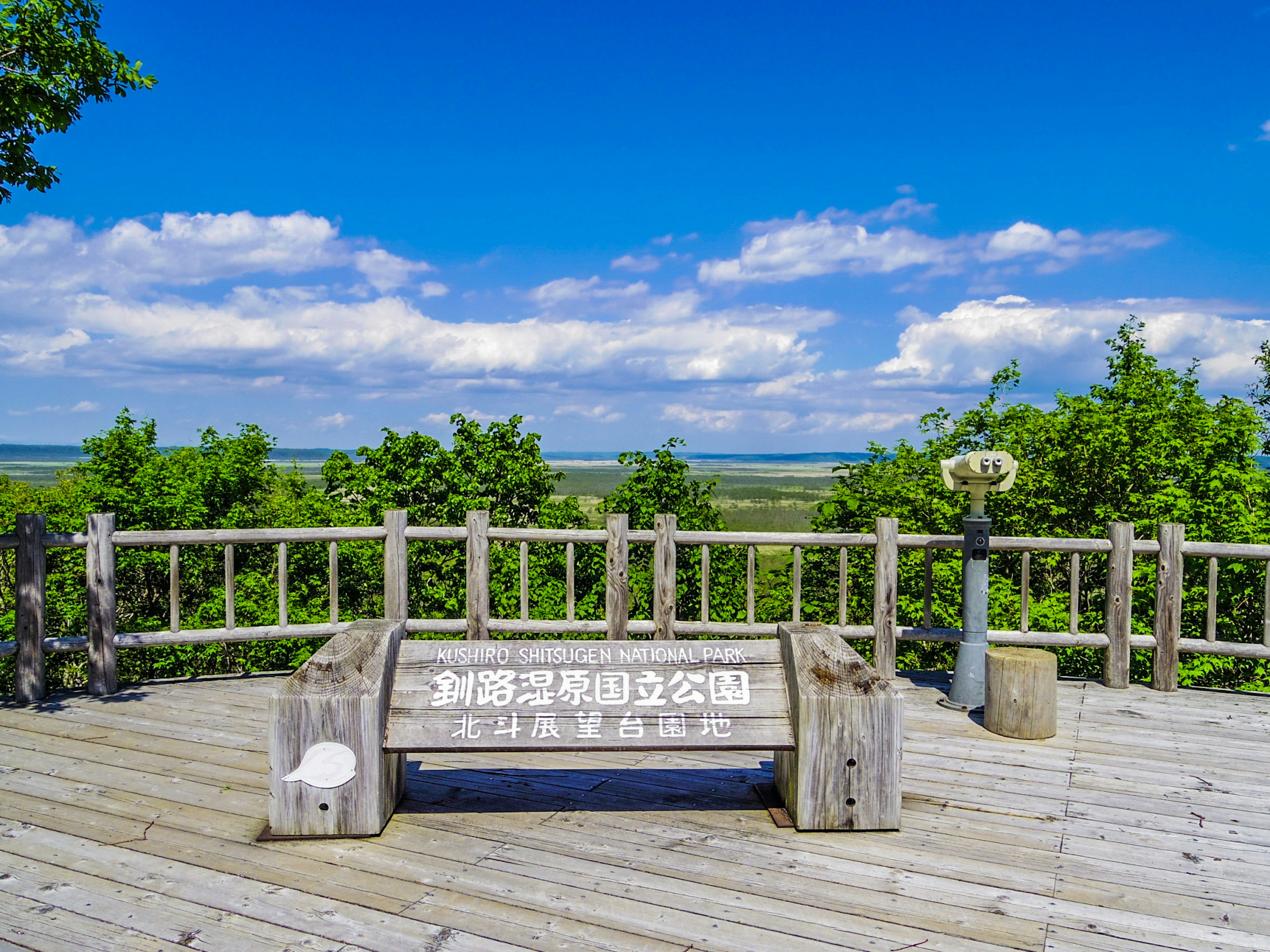 Scenic viewpoint deck surrounded by lush greenery and blue sky