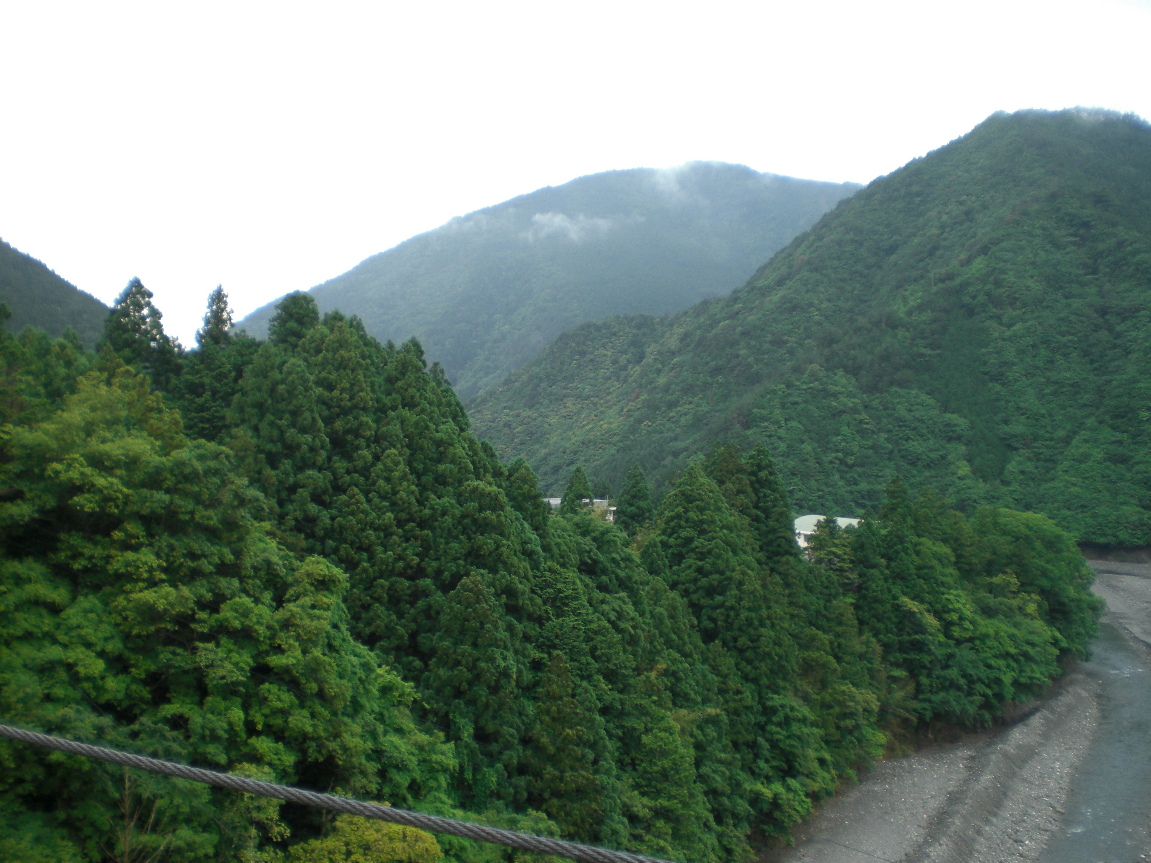 緑豊かな山々と霧のかかった風景