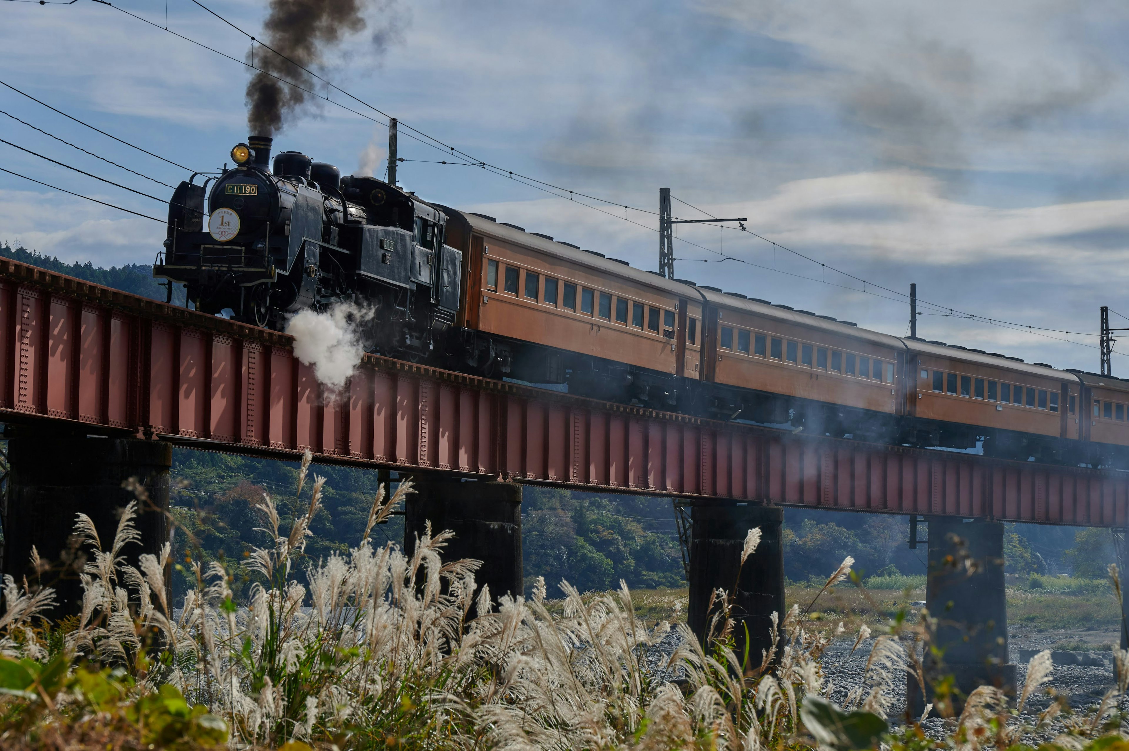 Locomotiva a vapore che attraversa un ponte di ferro con erbe circostanti