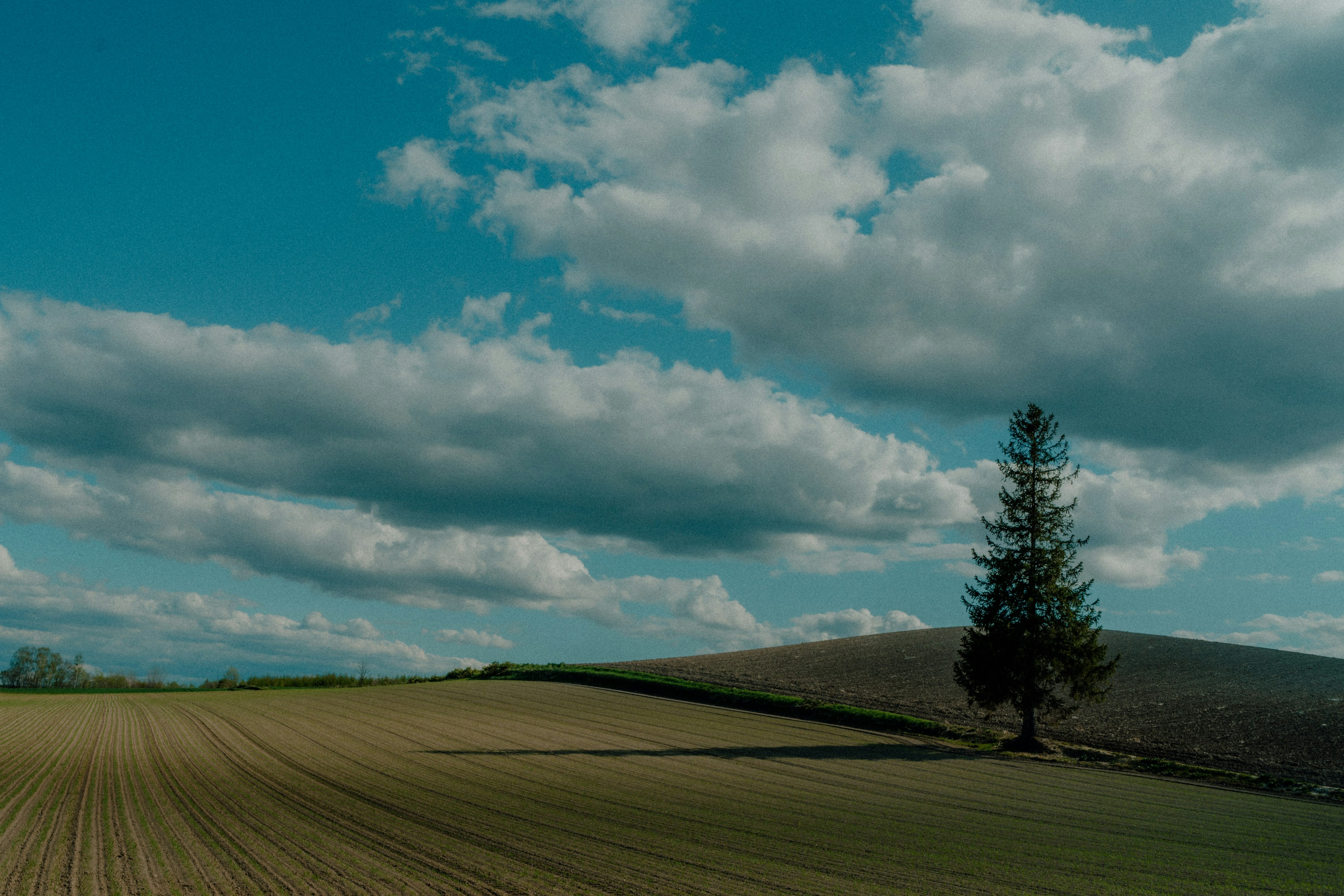 Landscape featuring a blue sky with clouds a green hill and a single tree