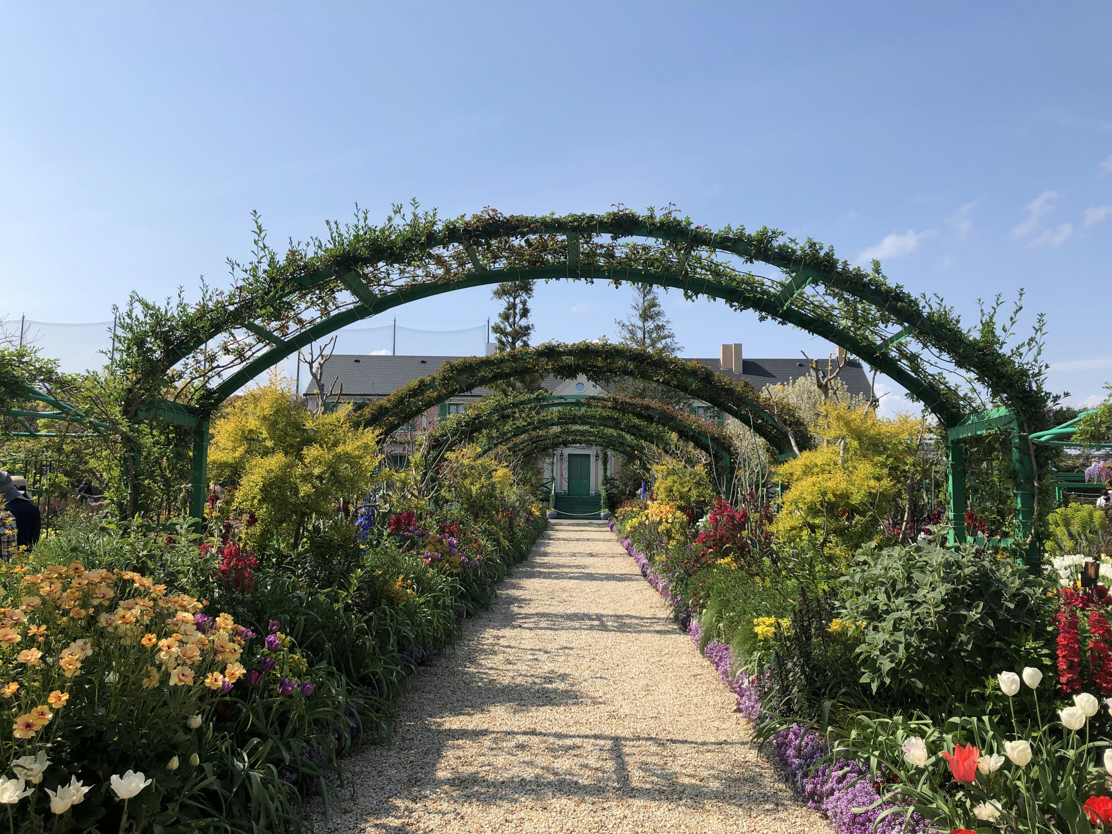 Hermoso camino de jardín rodeado de flores coloridas y arcos