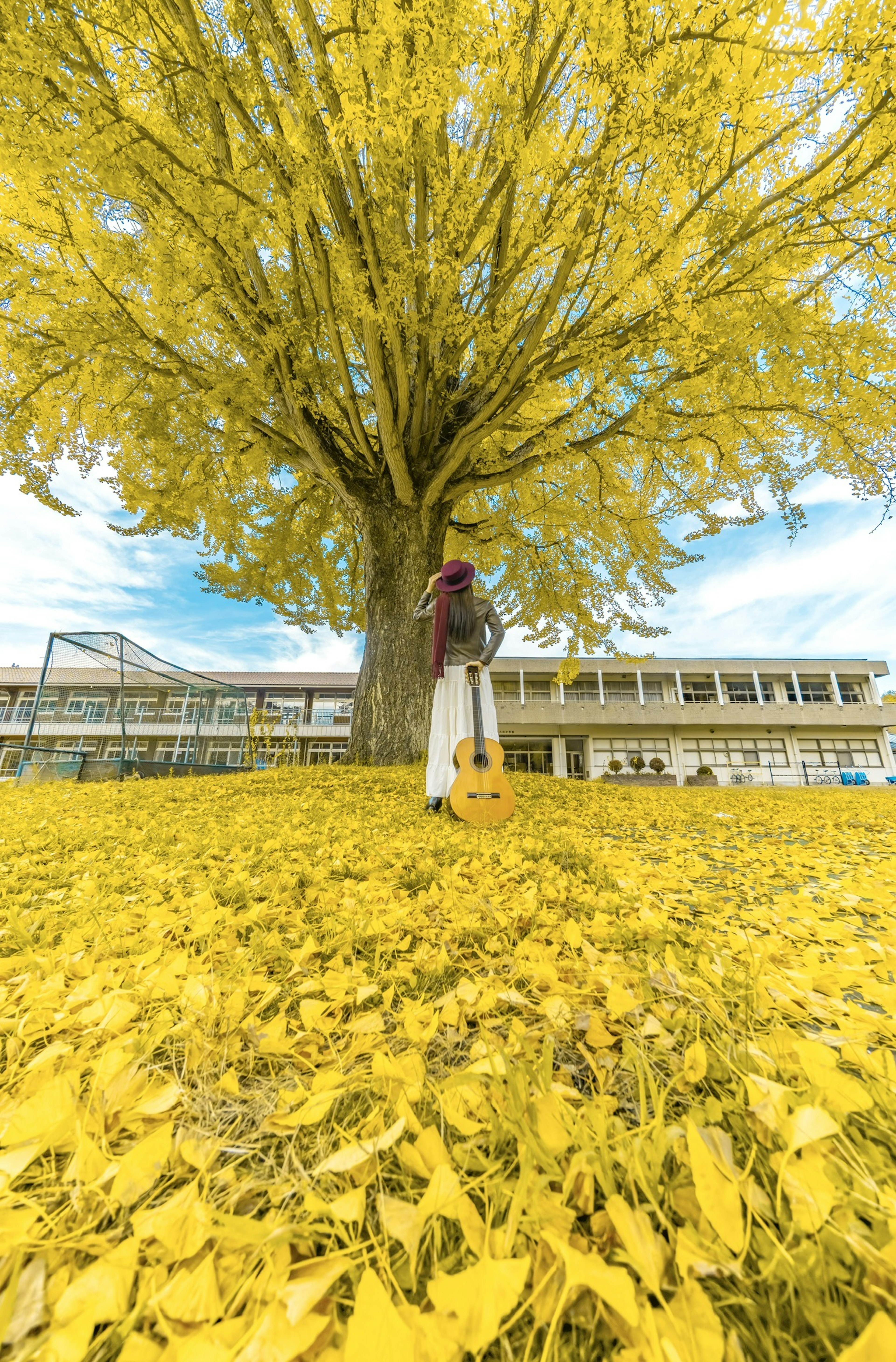 Orang berdiri di bawah pohon besar dengan daun kuning cerah memegang gitar