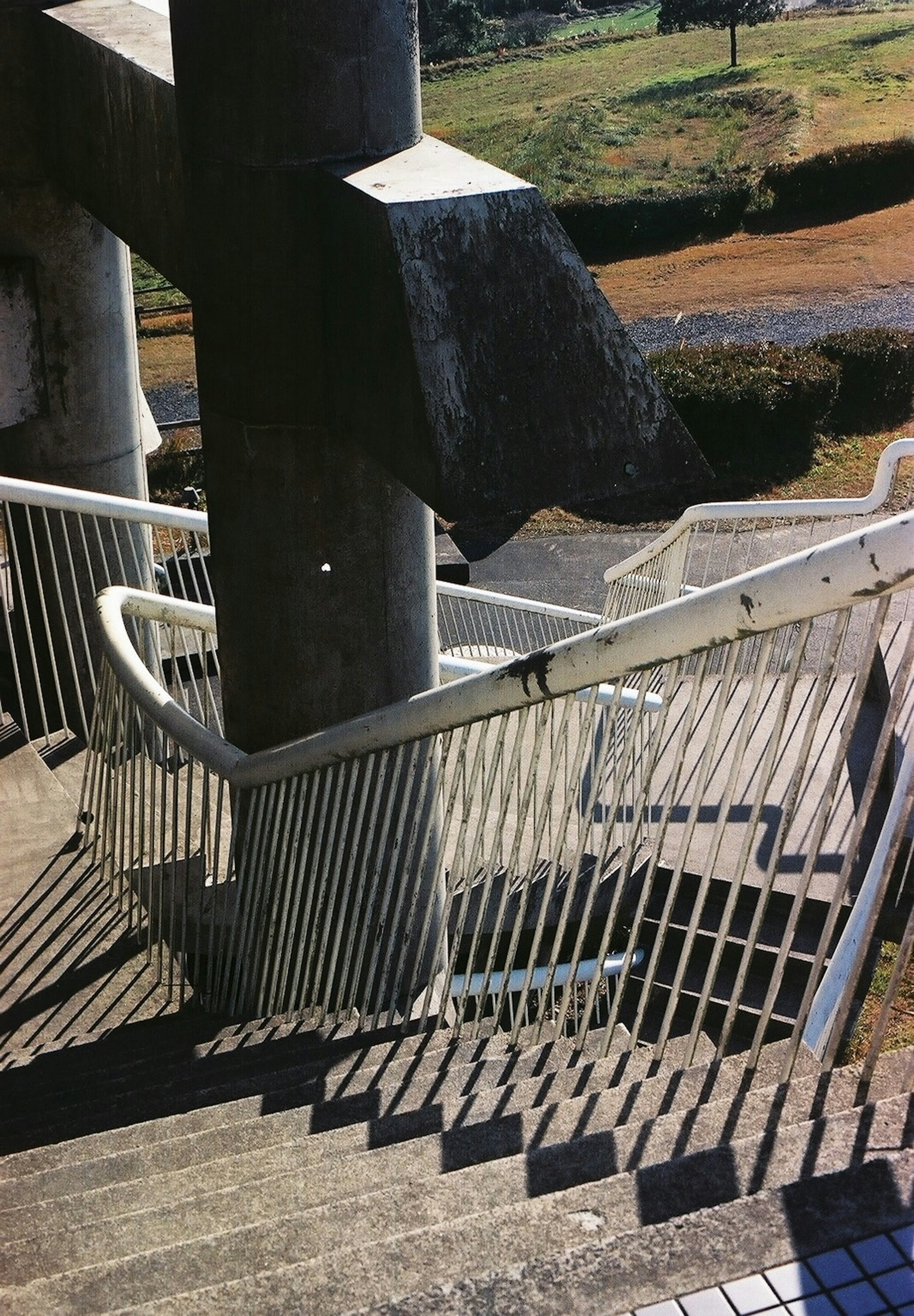 Escalera de concreto con barandilla de metal y vegetación circundante