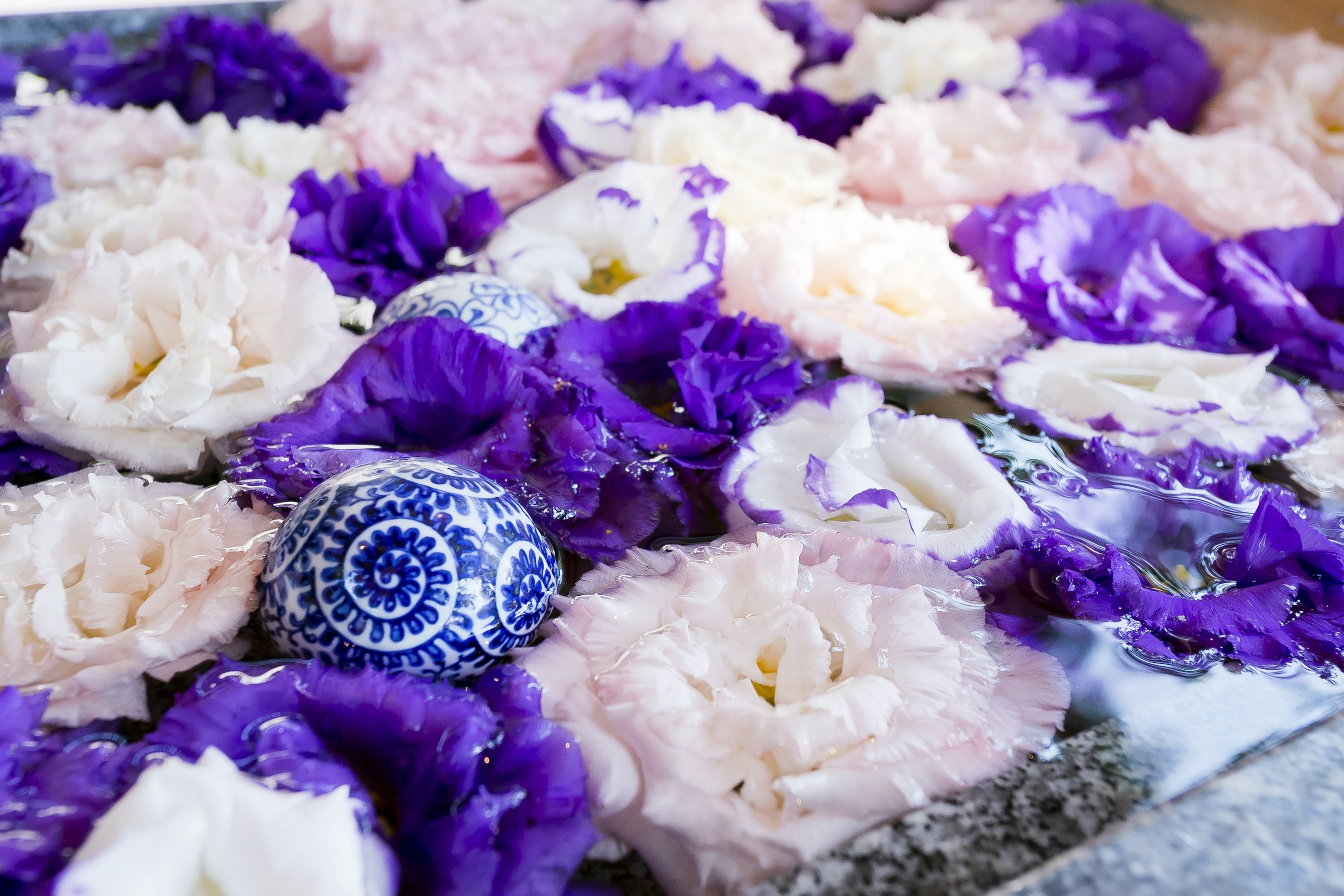 Una mezcla de pétalos de flores moradas y blancas flotando en el agua con una esfera de cerámica azul