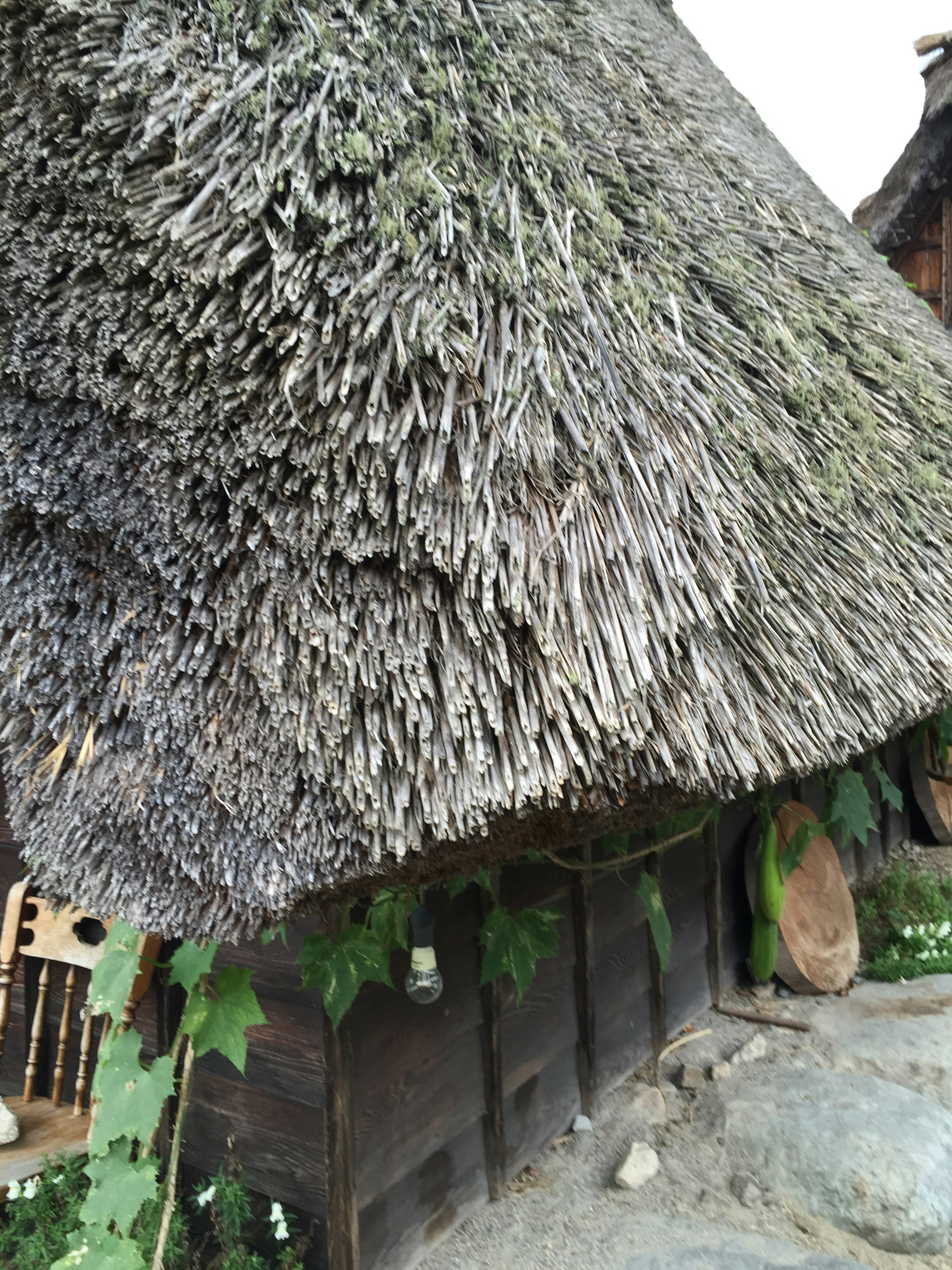 Gambar rumah tradisional dengan atap jerami menunjukkan dinding kayu dan tanaman hijau