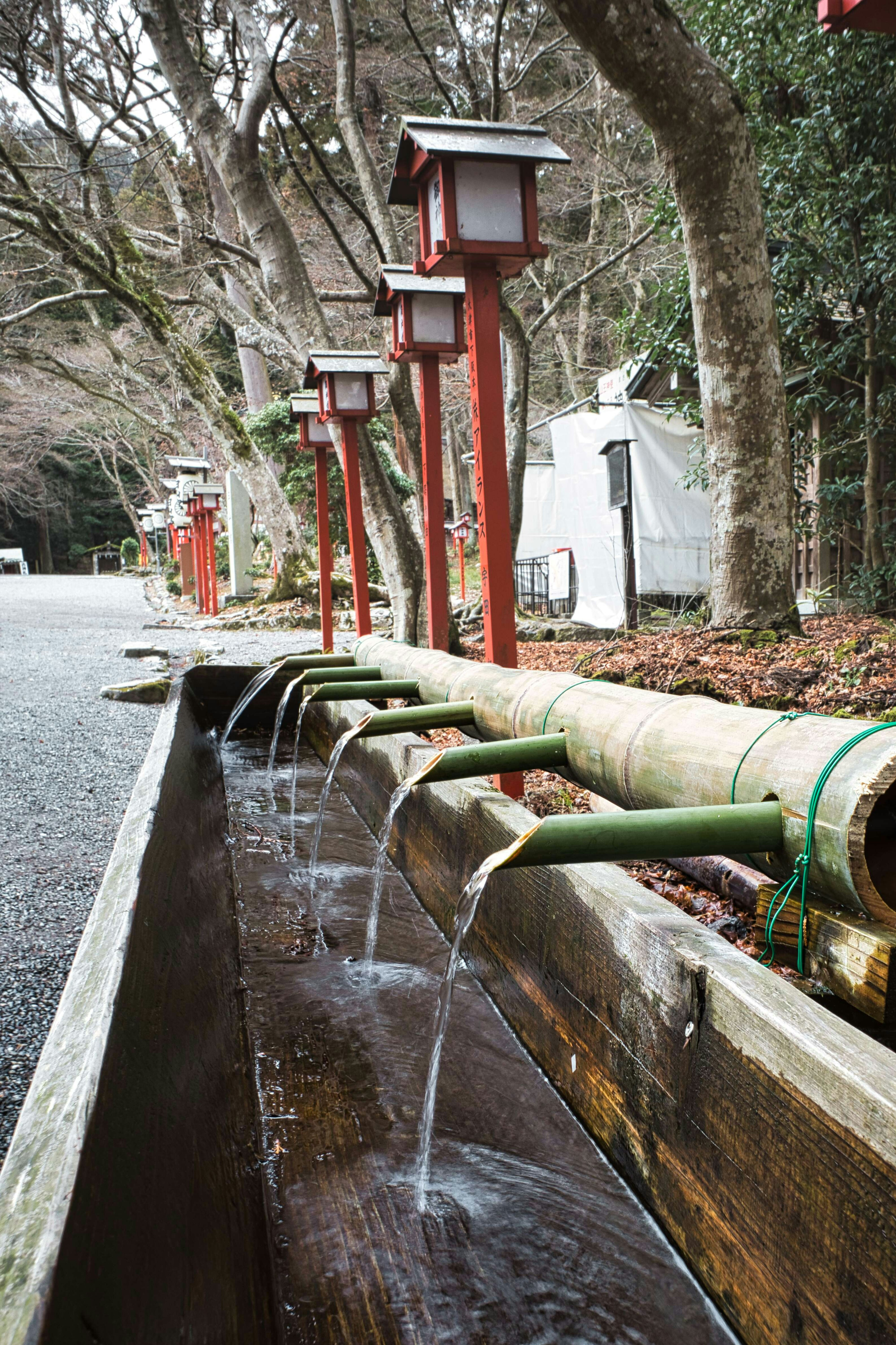 Bamboo water flow with red lanterns lining a peaceful path