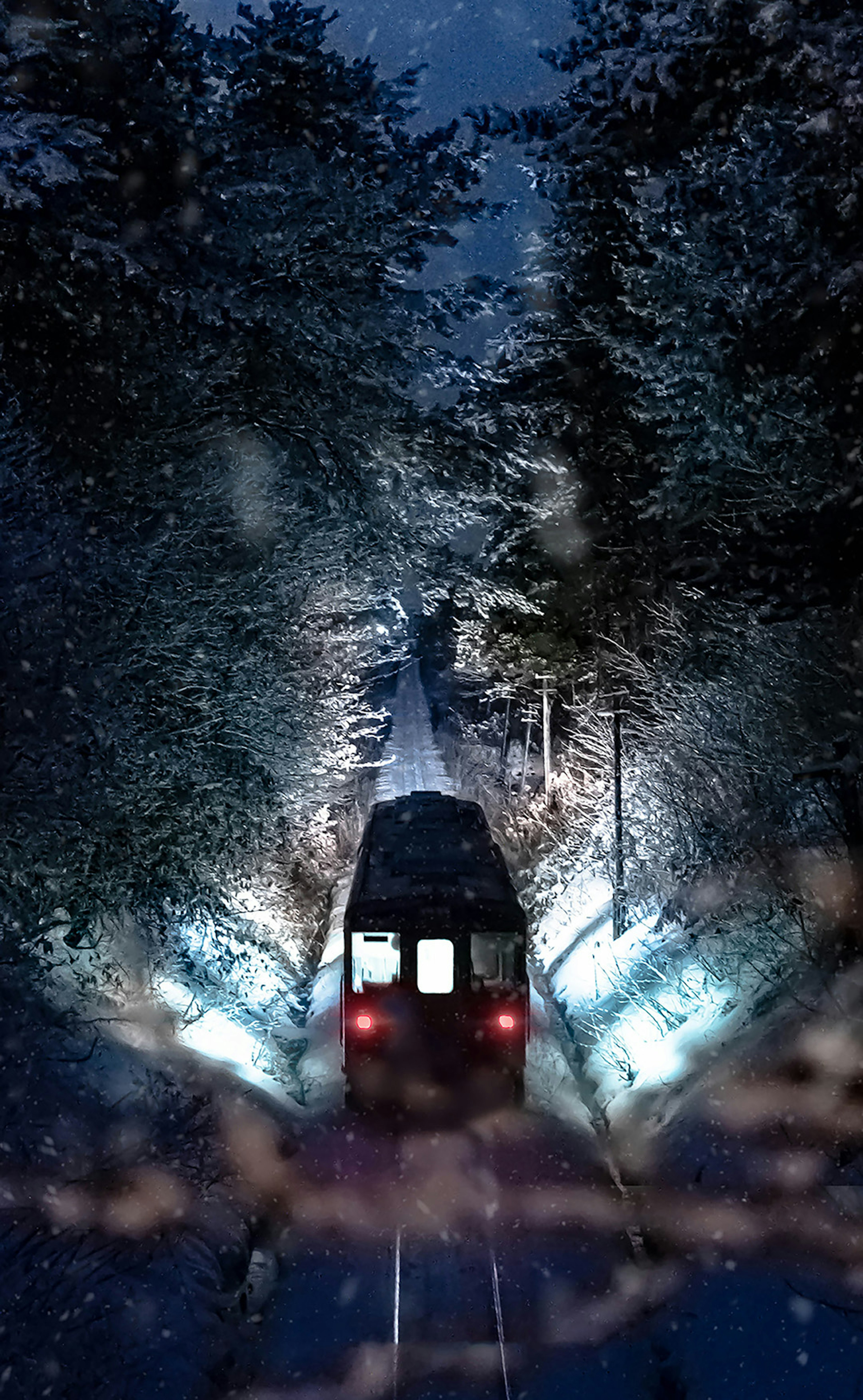 Night scene of a train running through a snow-covered forest