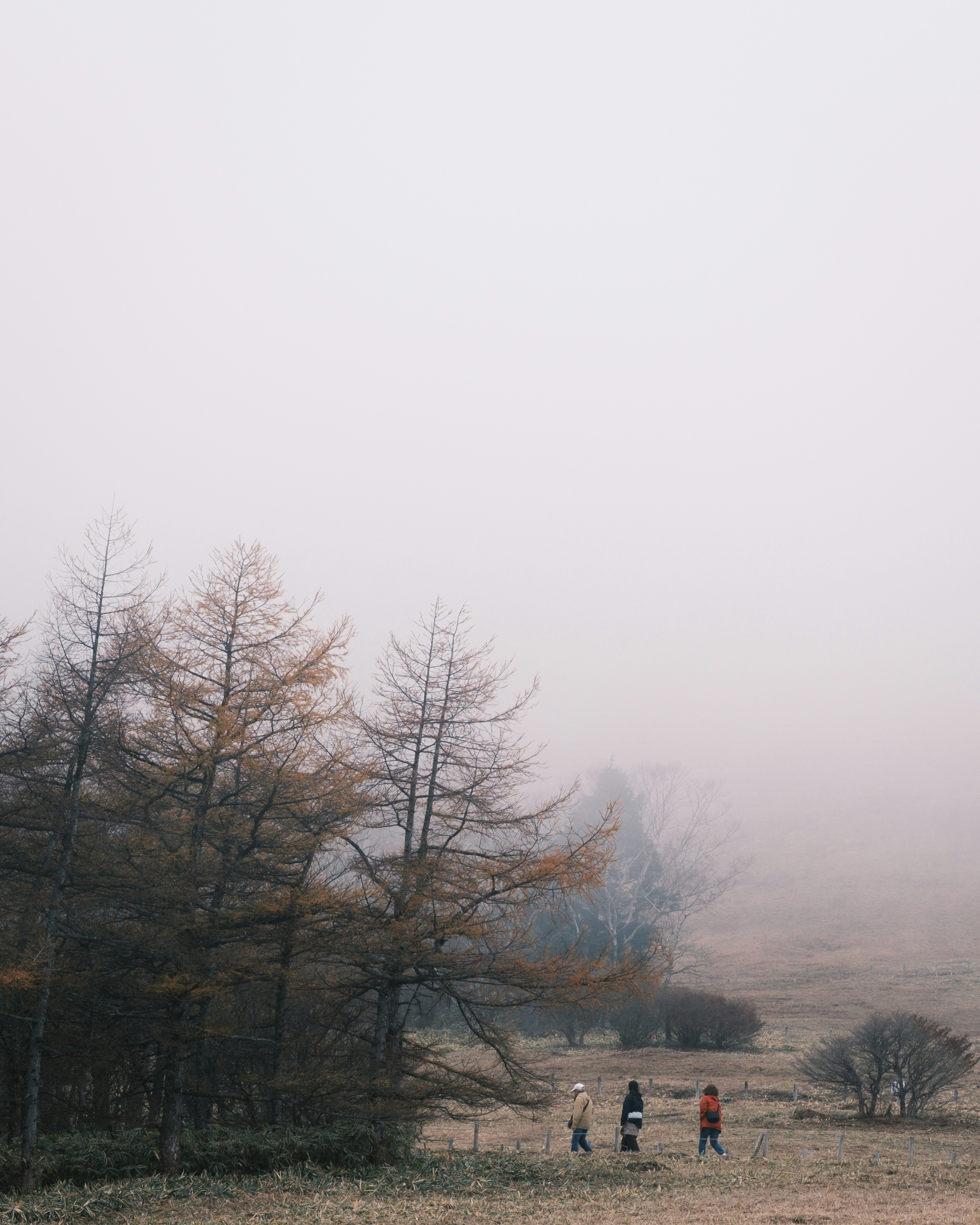 Menschen, die in einer nebligen Landschaft mit spärlichen Bäumen gehen