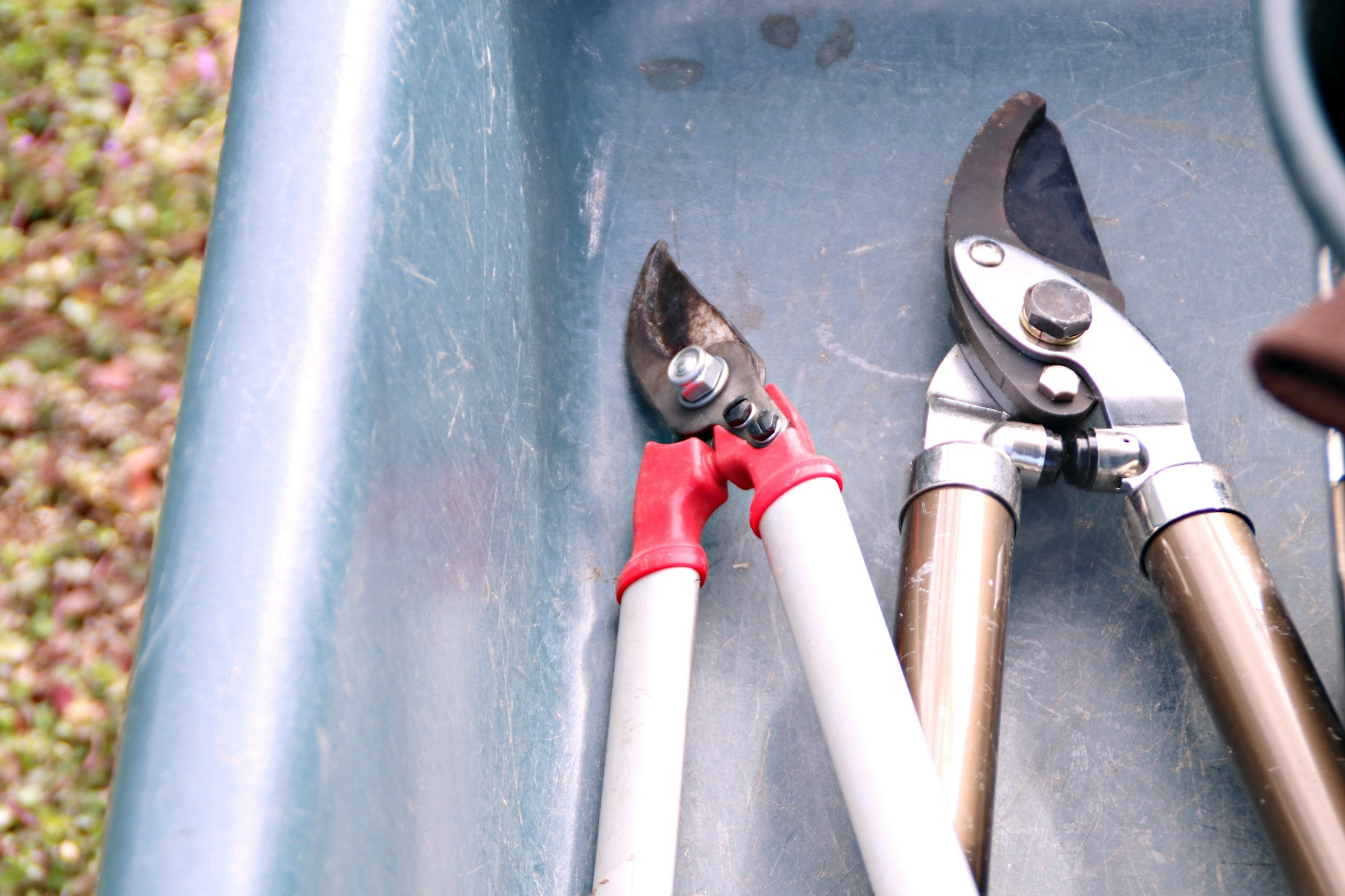 Pruning shears and gardening tools placed in a blue container