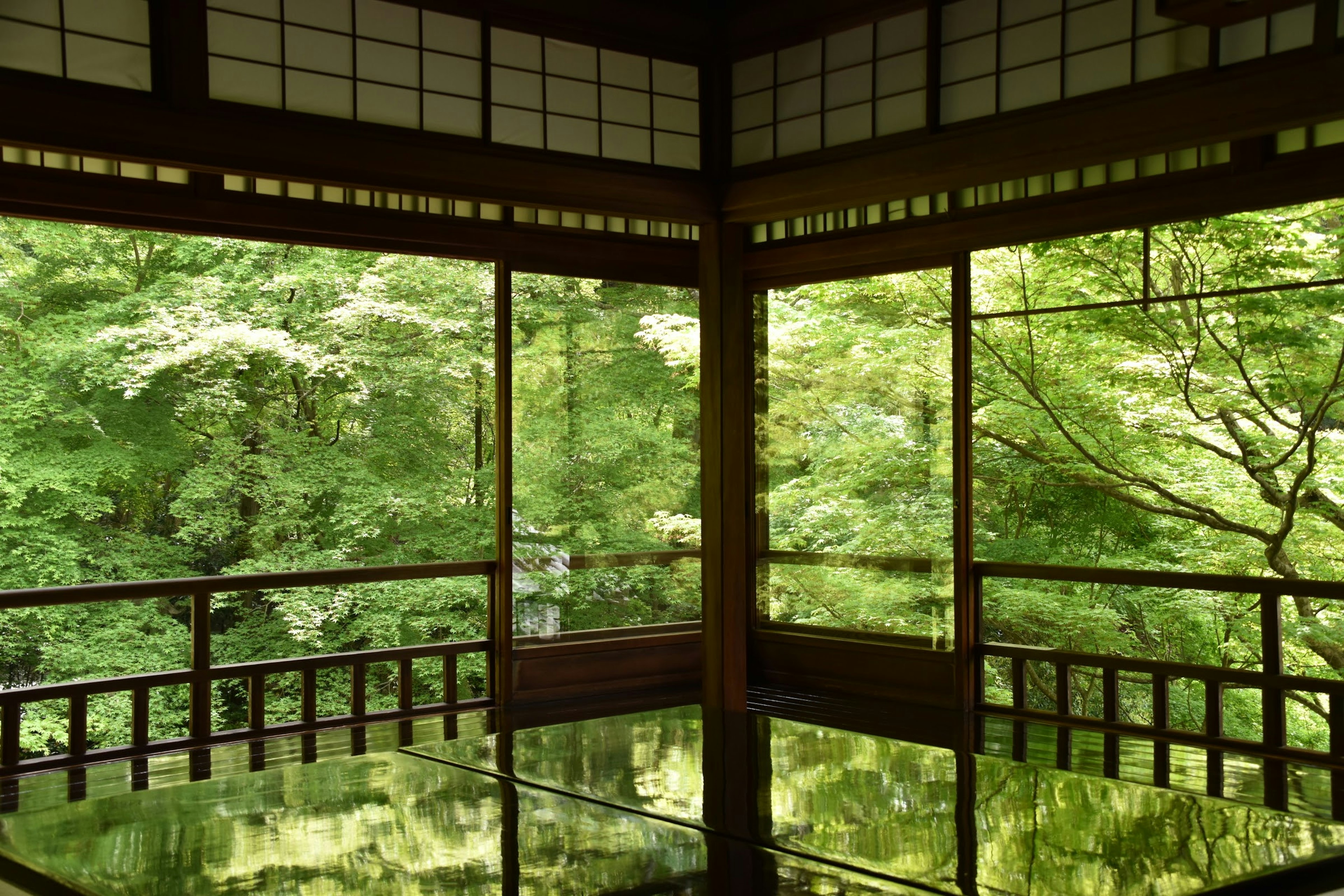 Pemandangan dari ruangan Jepang tradisional menghadap pohon hijau subur