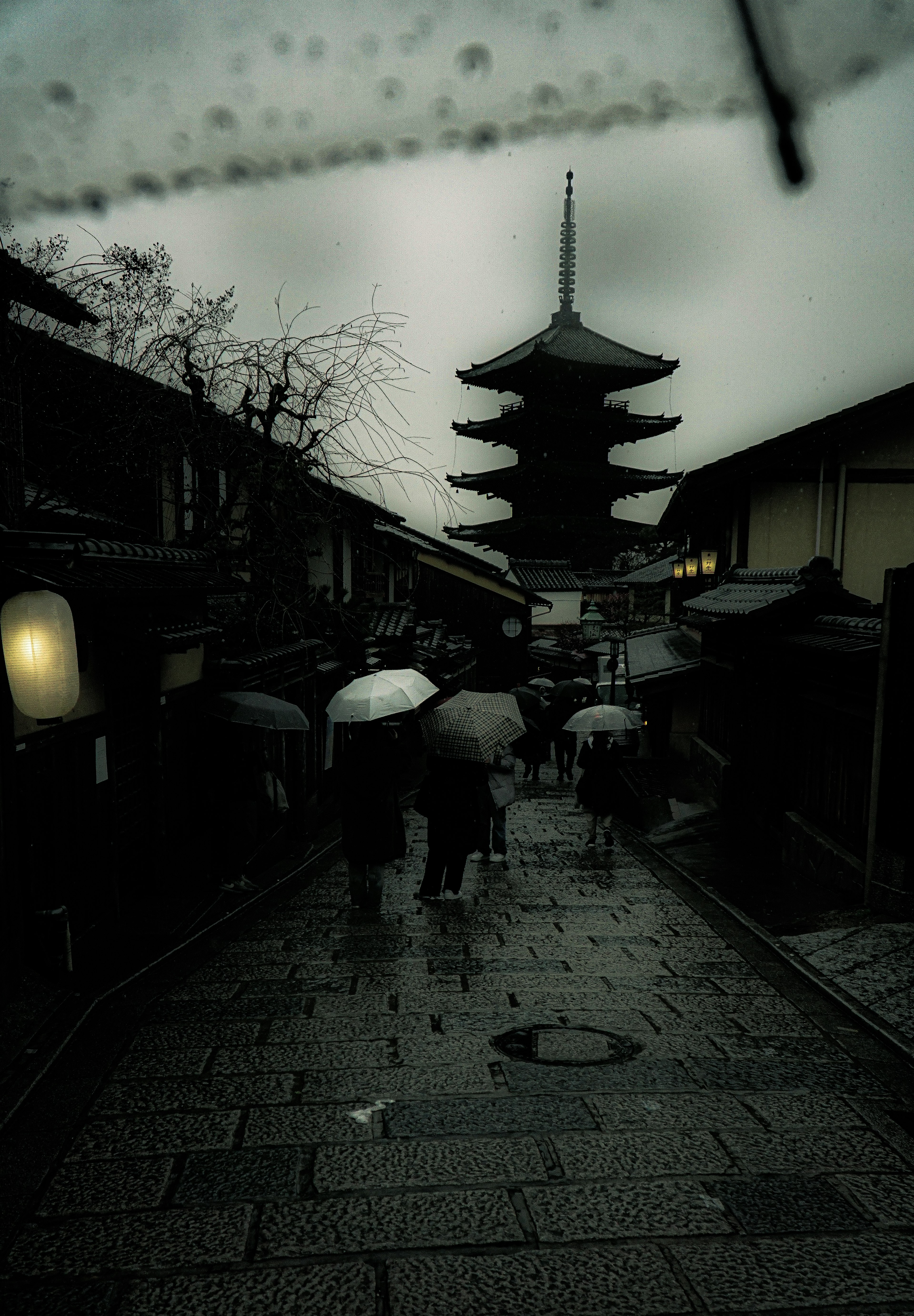 雨の中の京都の街並みと五重塔の風景