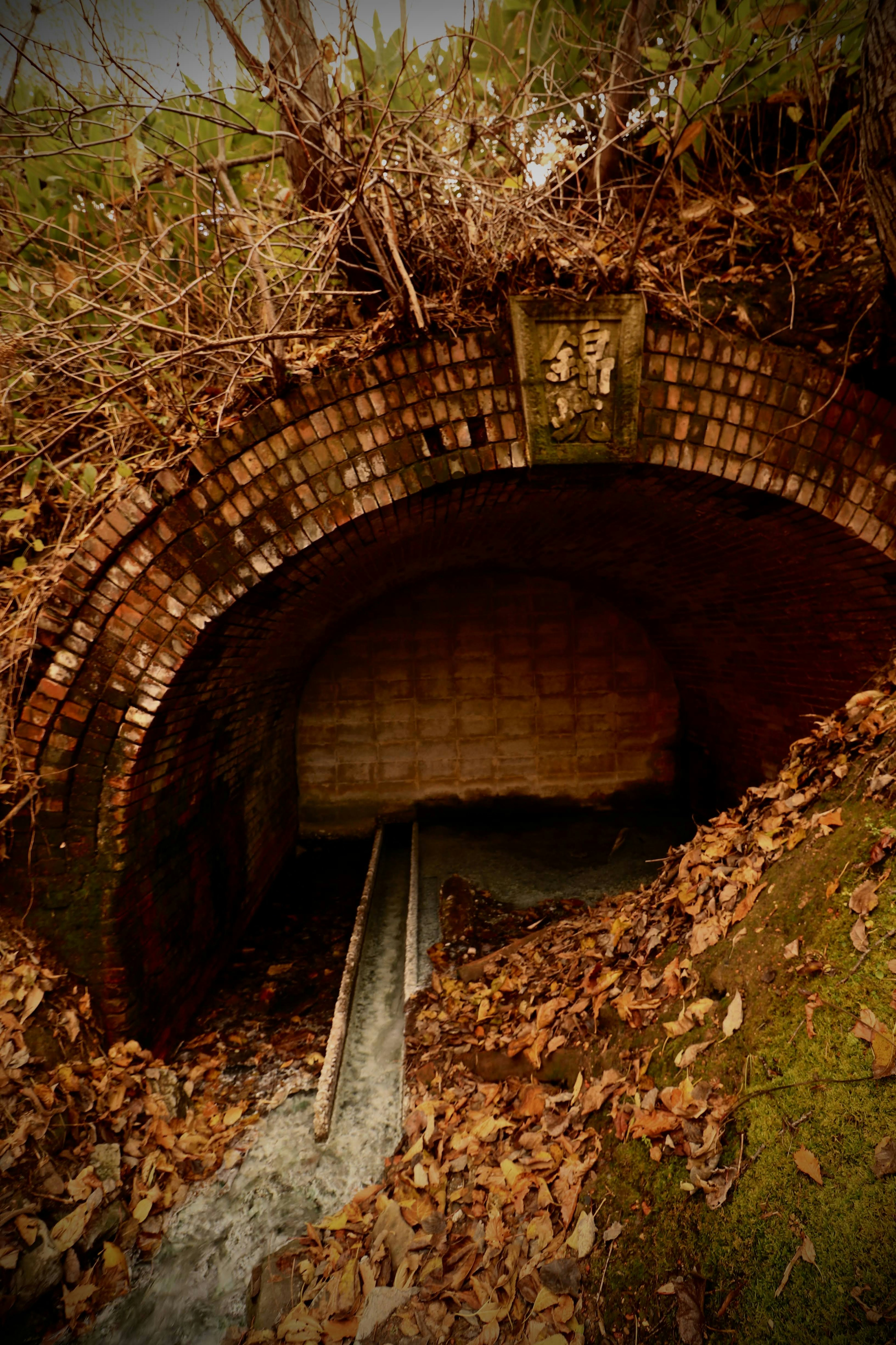 An old tunnel entrance surrounded by fallen leaves