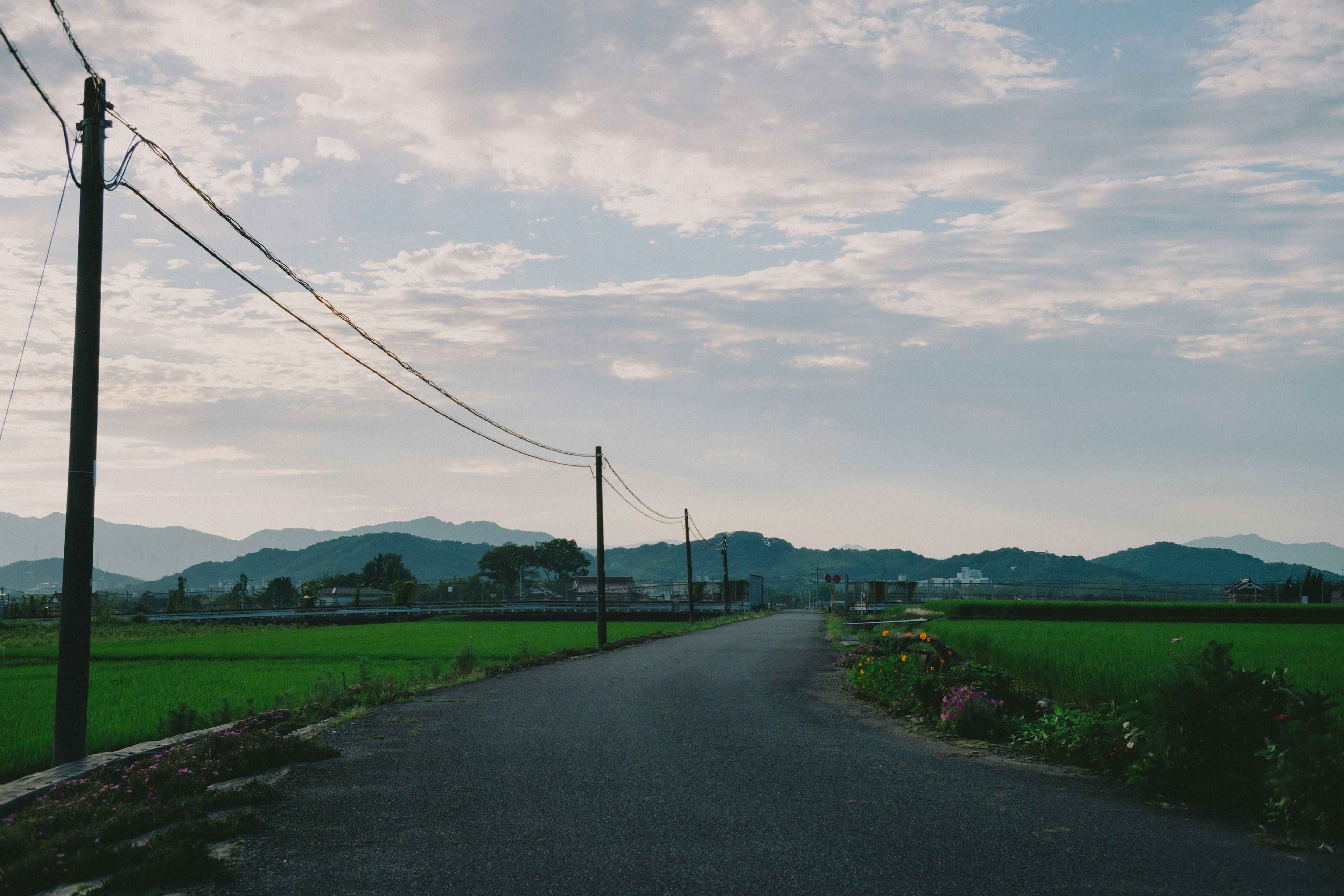 ถนนชนบทที่เงียบสงบพร้อมทุ่งข้าวสีเขียวและภูเขาในพื้นหลัง