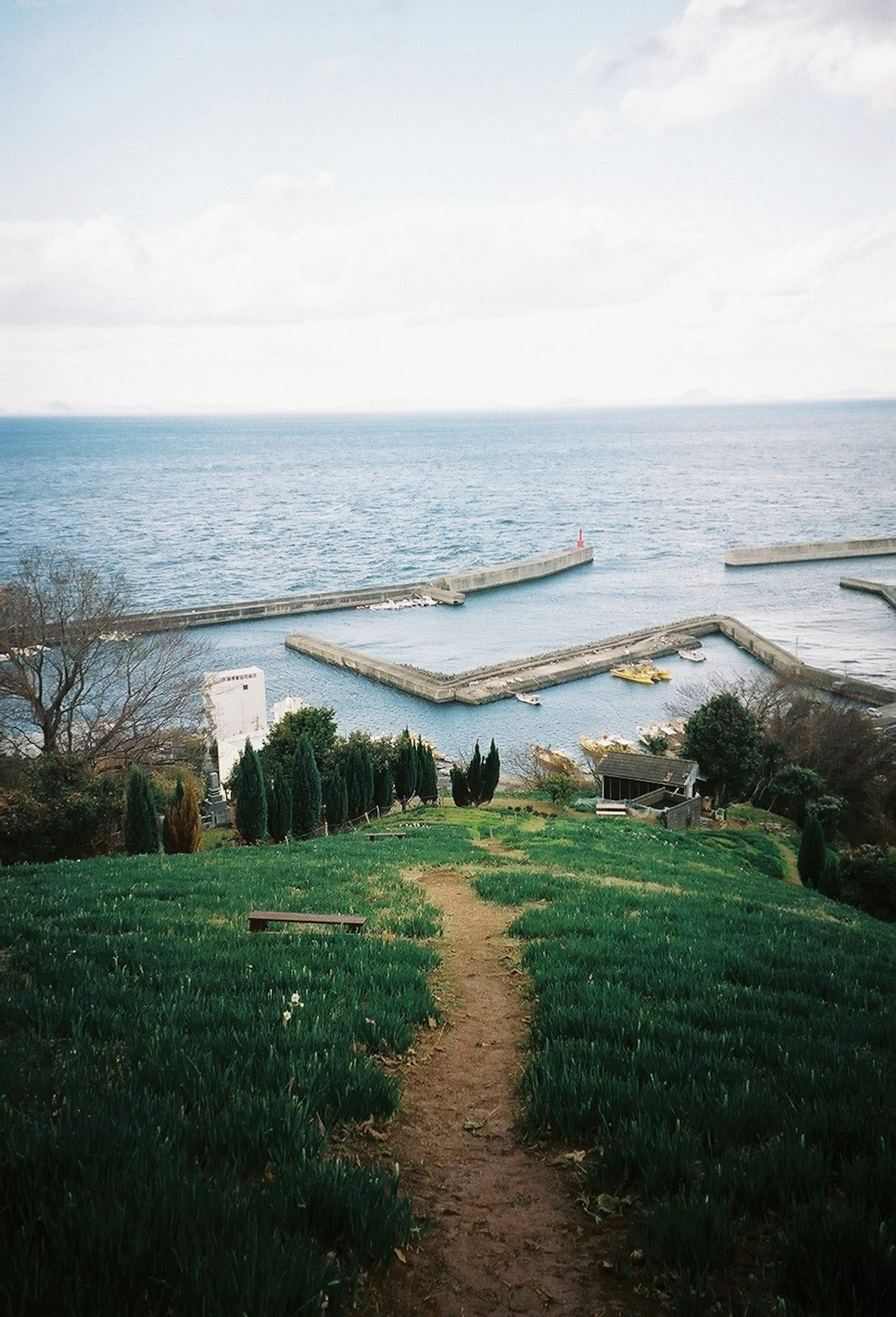 青い海と防波堤が見える風景の写真で、緑の草が生い茂る丘からの眺め