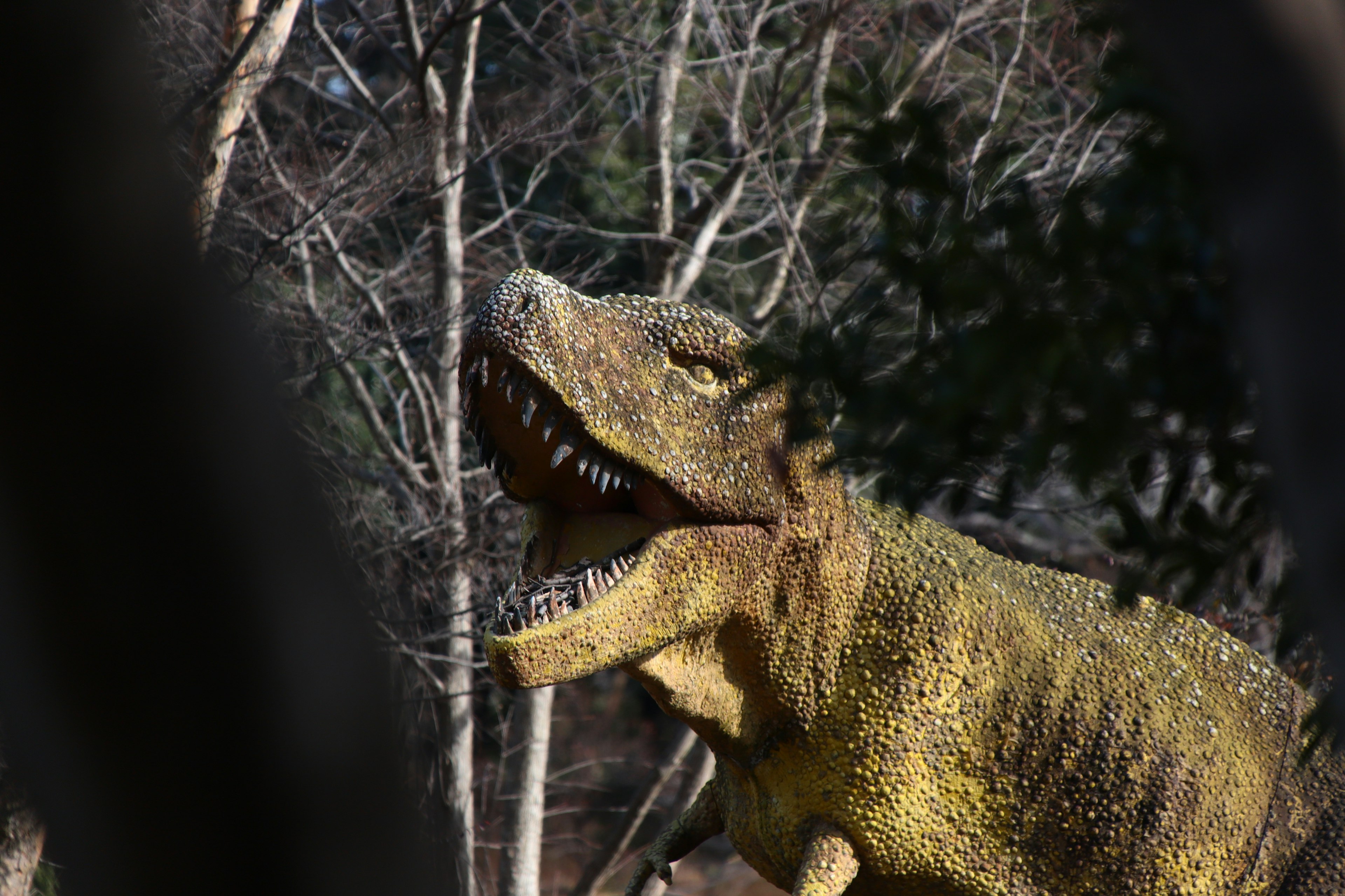 Modello di dinosauro visibile tra gli alberi corpo giallo vivace e grande bocca