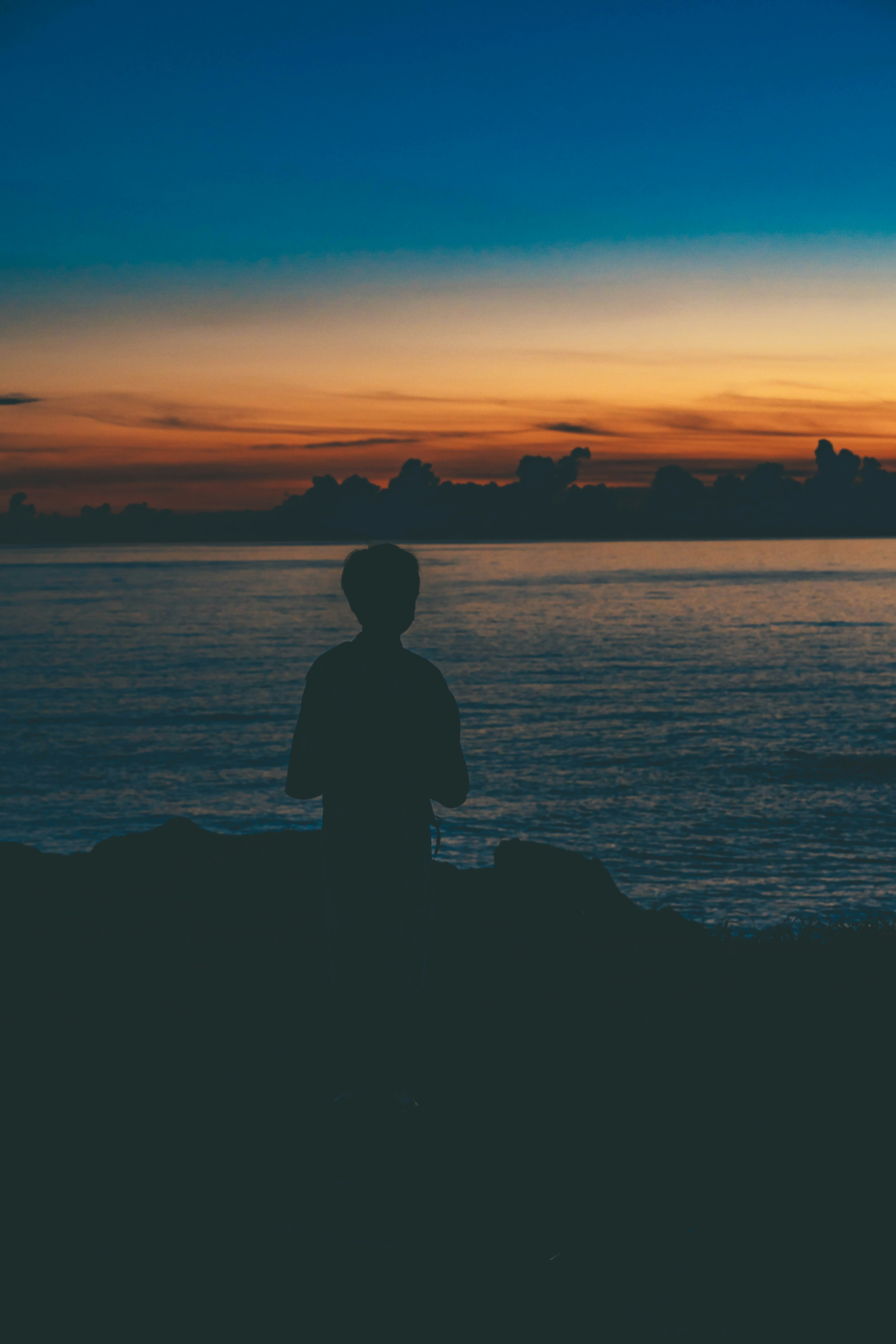 Silhouette of a person overlooking the sea at sunset