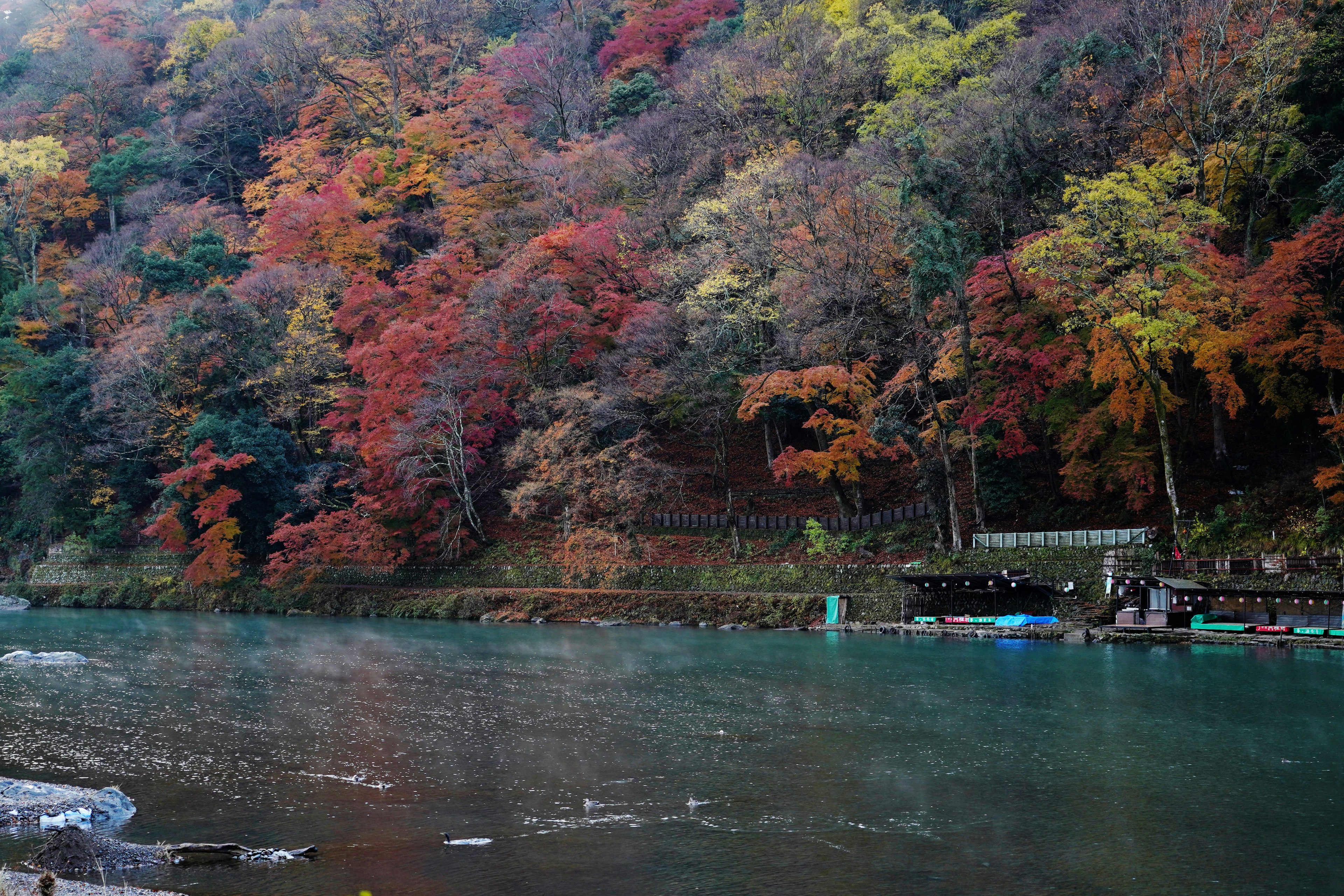 Vista escénica de un río con vibrante follaje otoñal