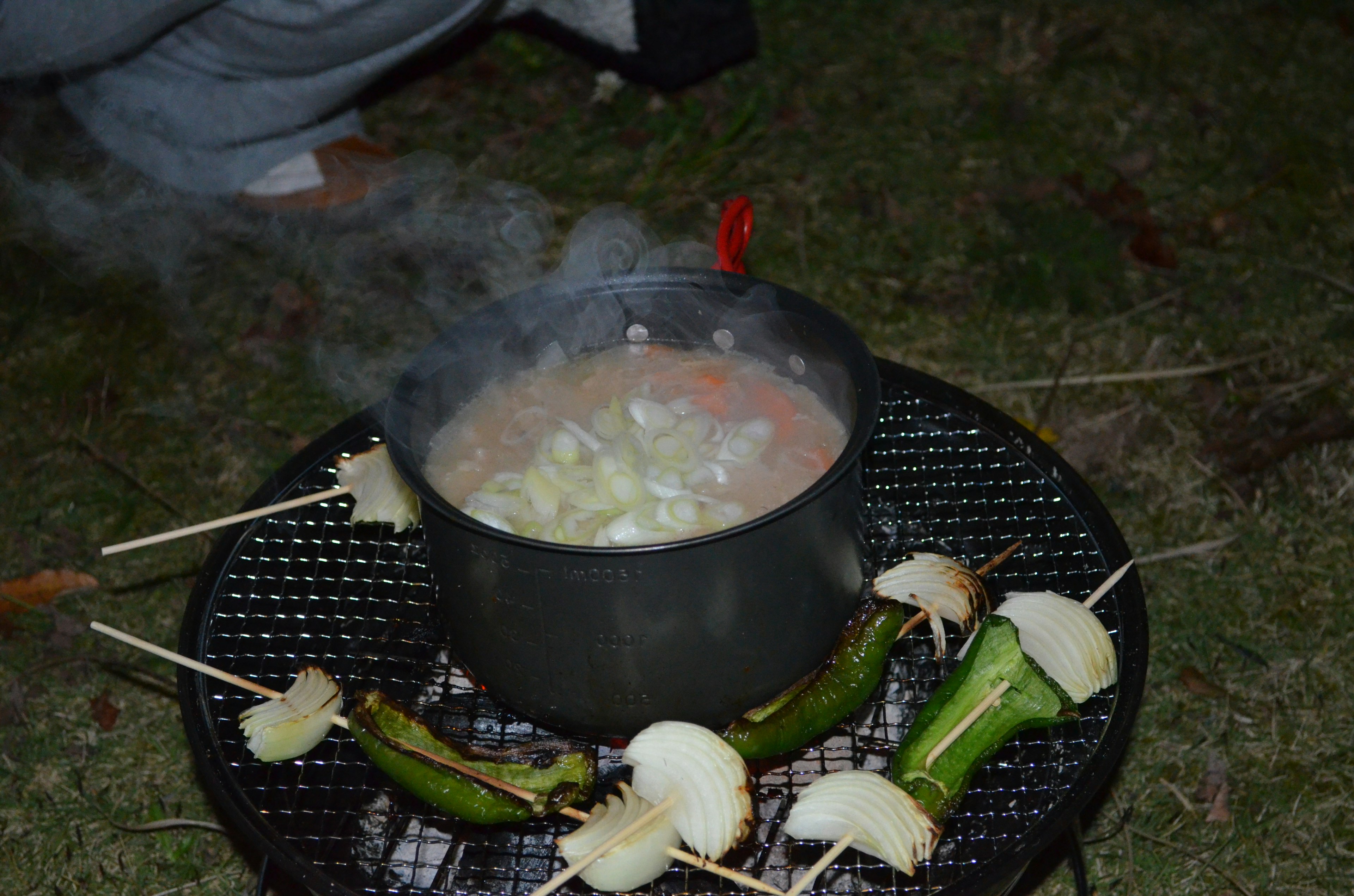 Scène de cuisine en plein air avec une casserole fumante et des légumes en brochette