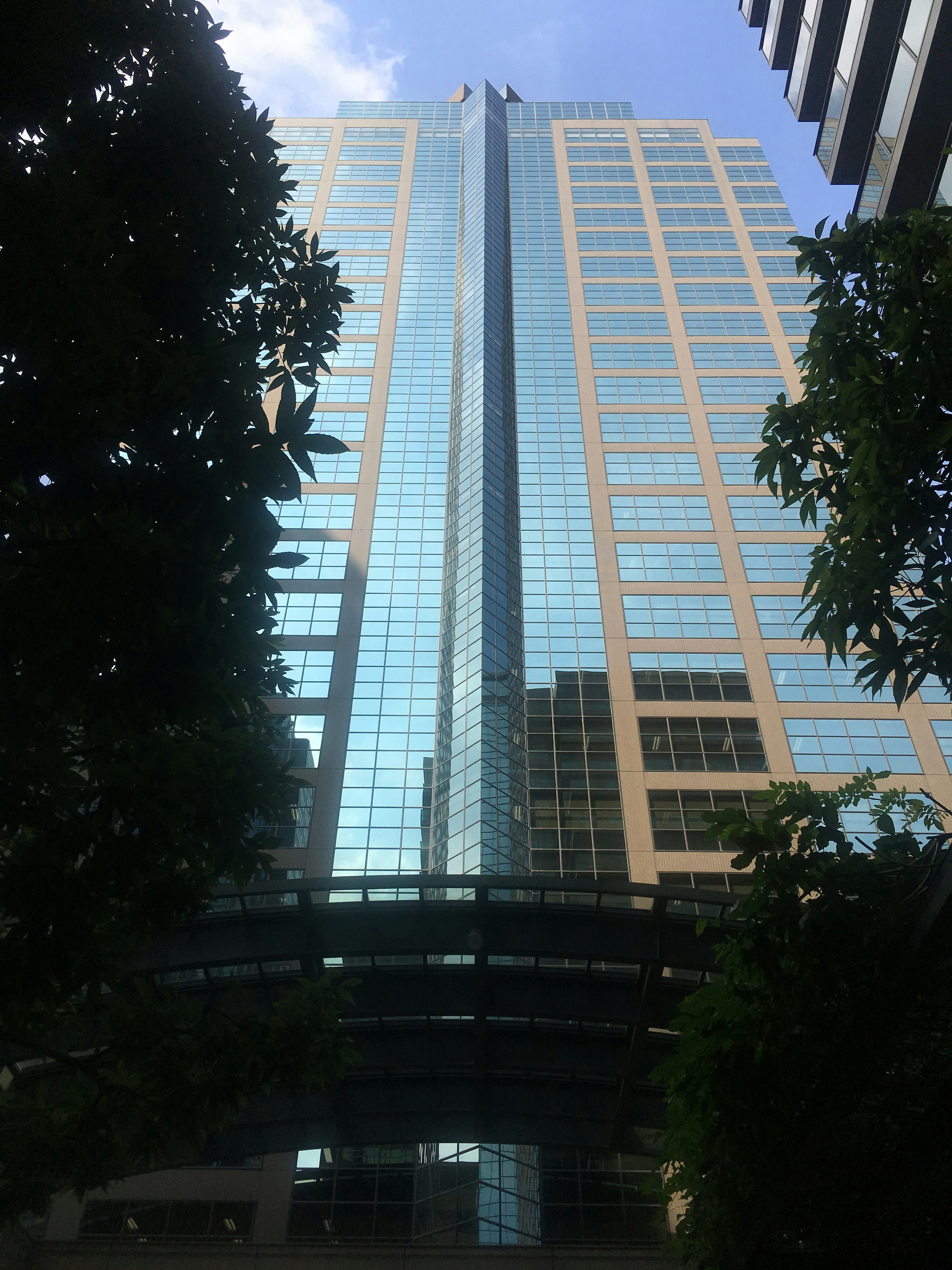 Edificio alto con fachada de vidrio reflectante rodeado de vegetación