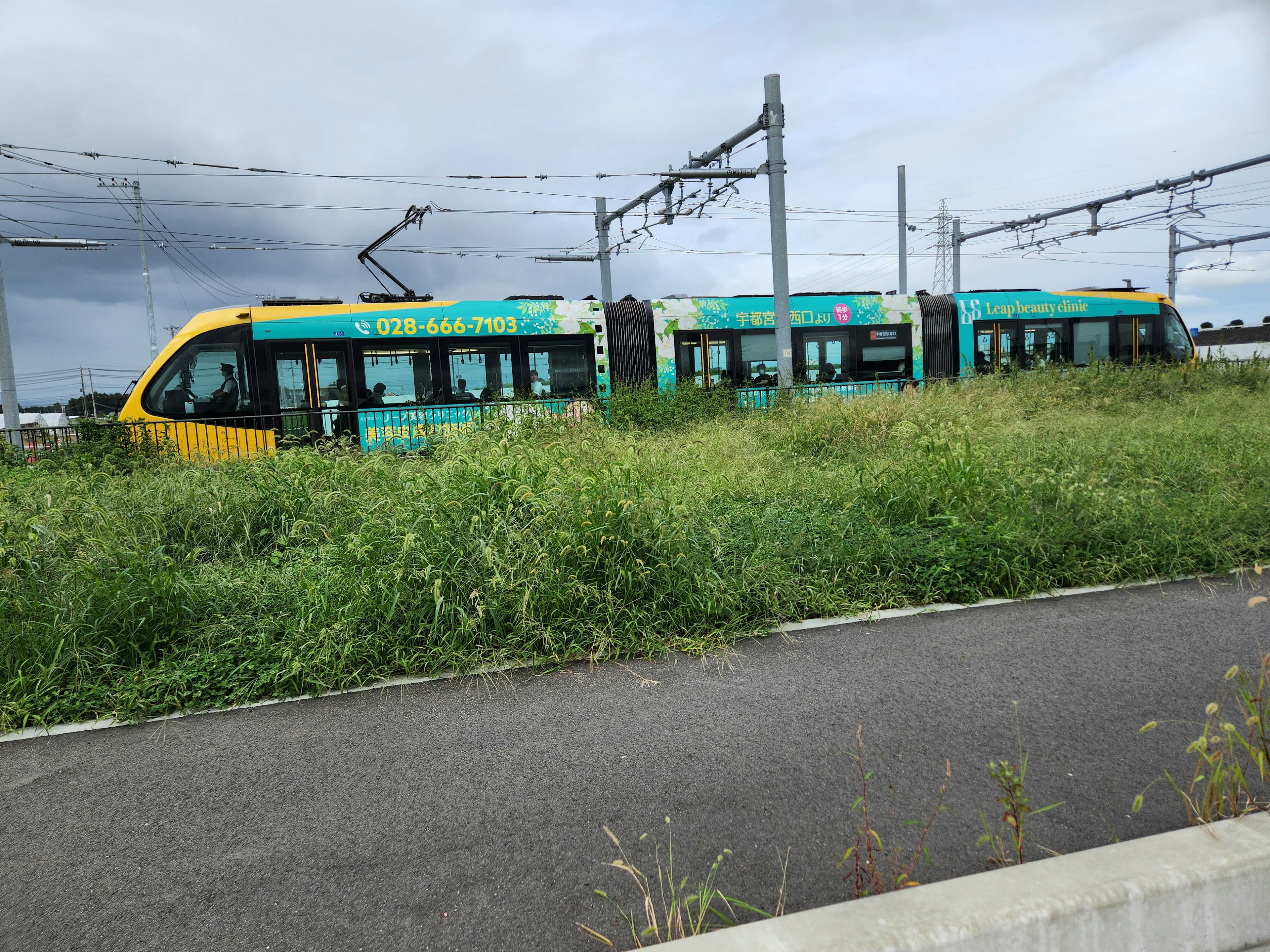 草に囲まれた黄色と緑のトラムが走行している風景