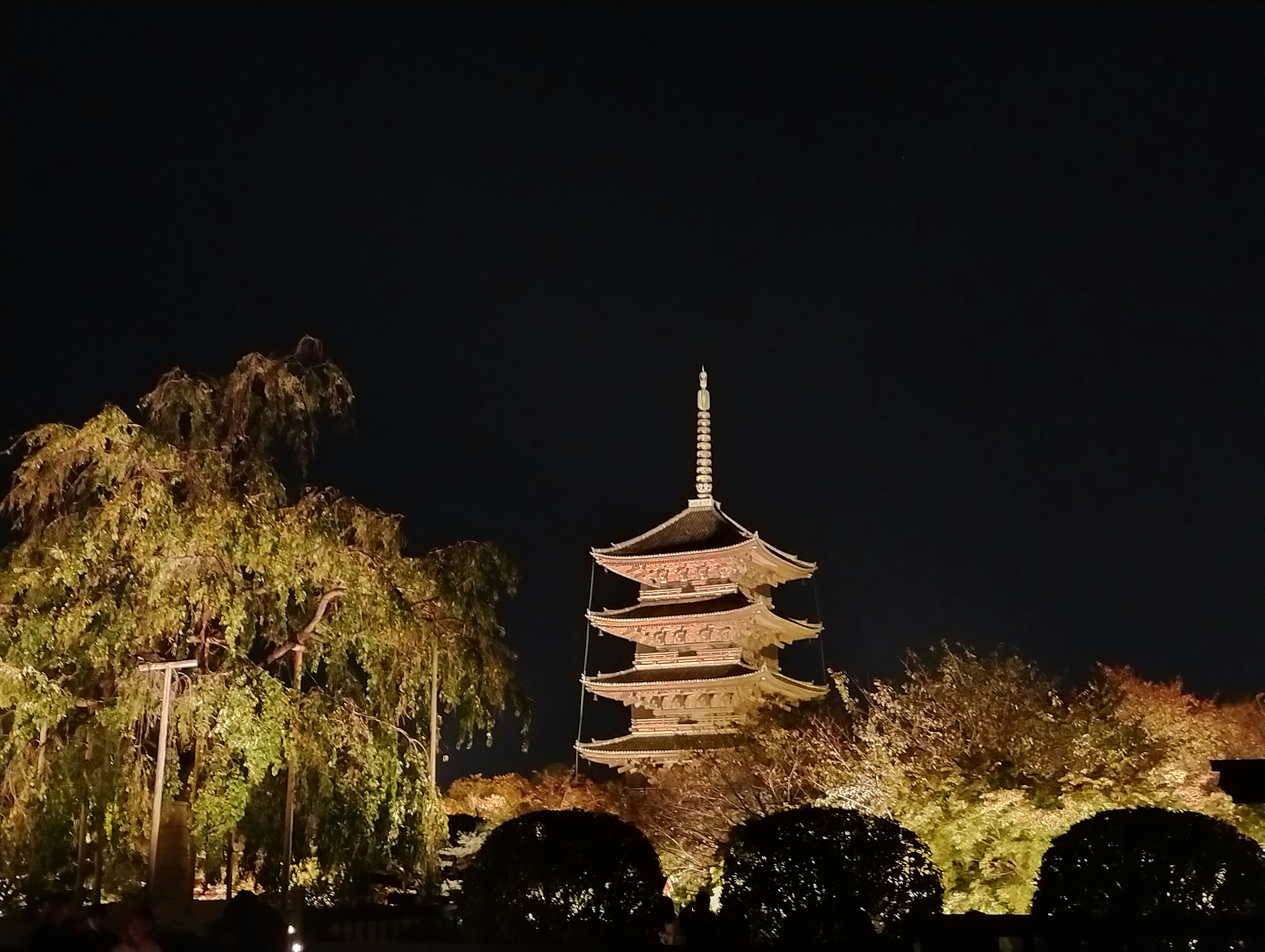 Schöner Blick auf eine japanische Pagode bei Nacht umgeben von Bäumen