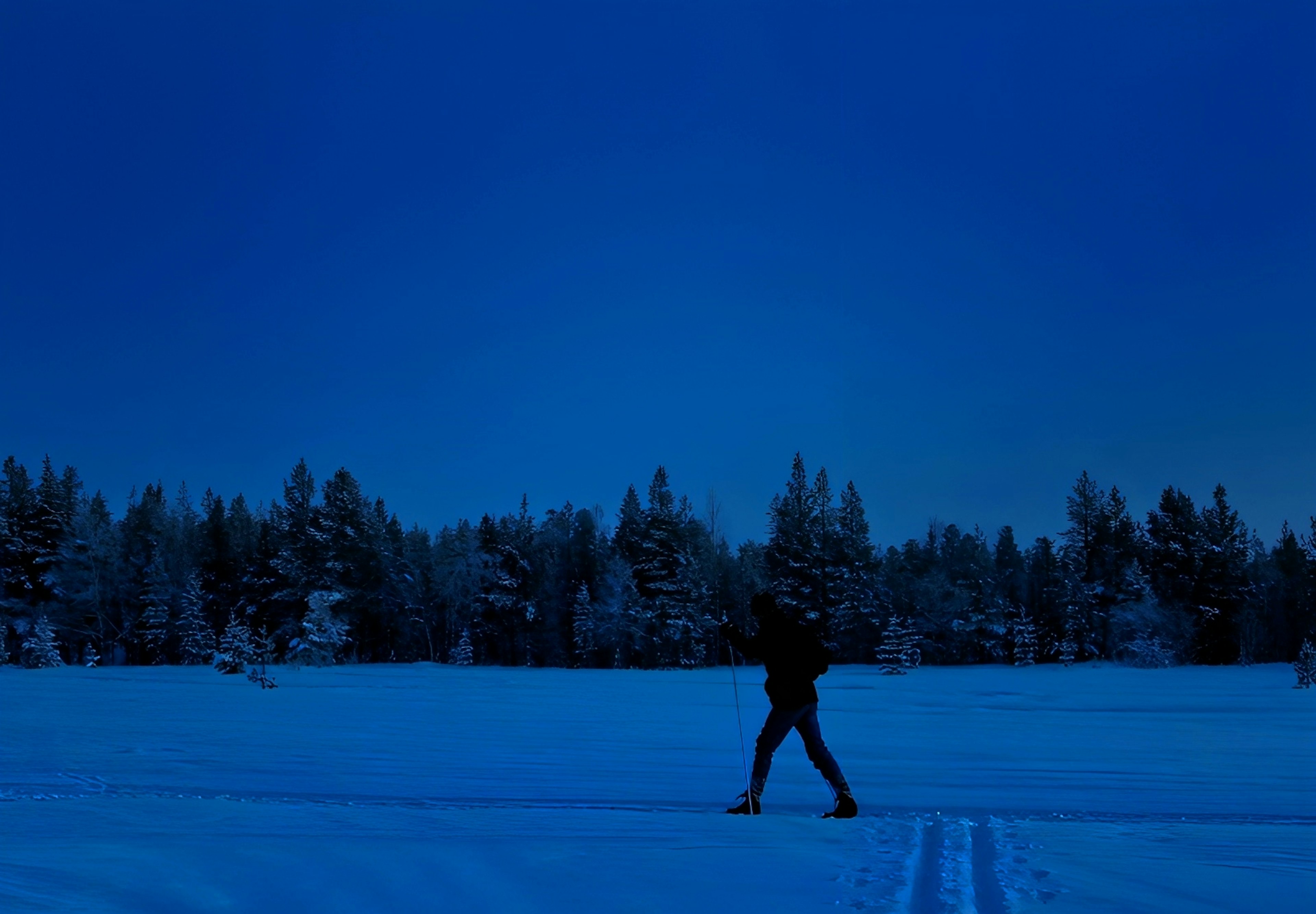 Silhouette einer Person, die in einer verschneiten Landschaft geht Blauer Nachthimmel und schneebedeckte Bäume im Hintergrund