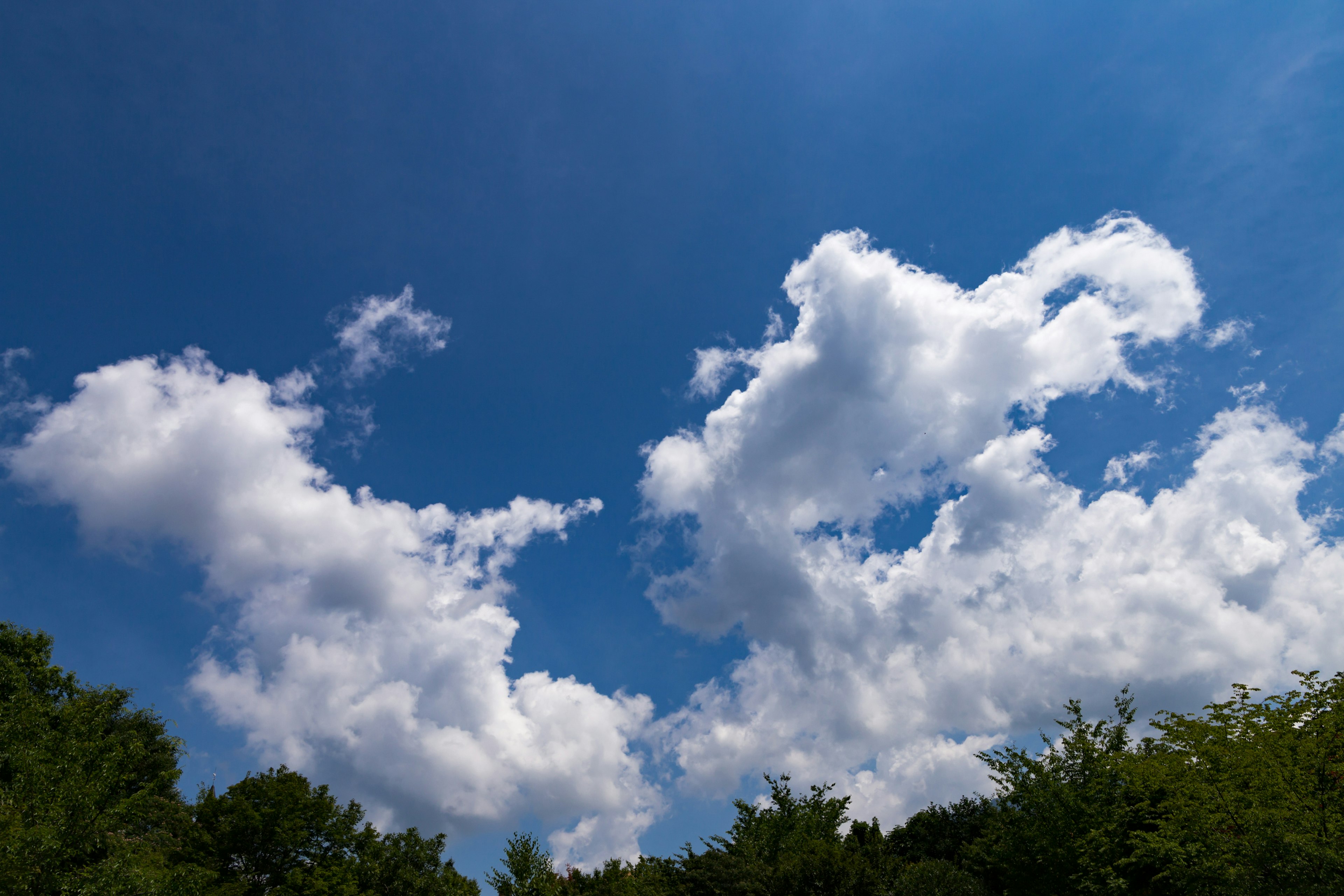 Awan putih berbulu di langit biru di atas pohon hijau