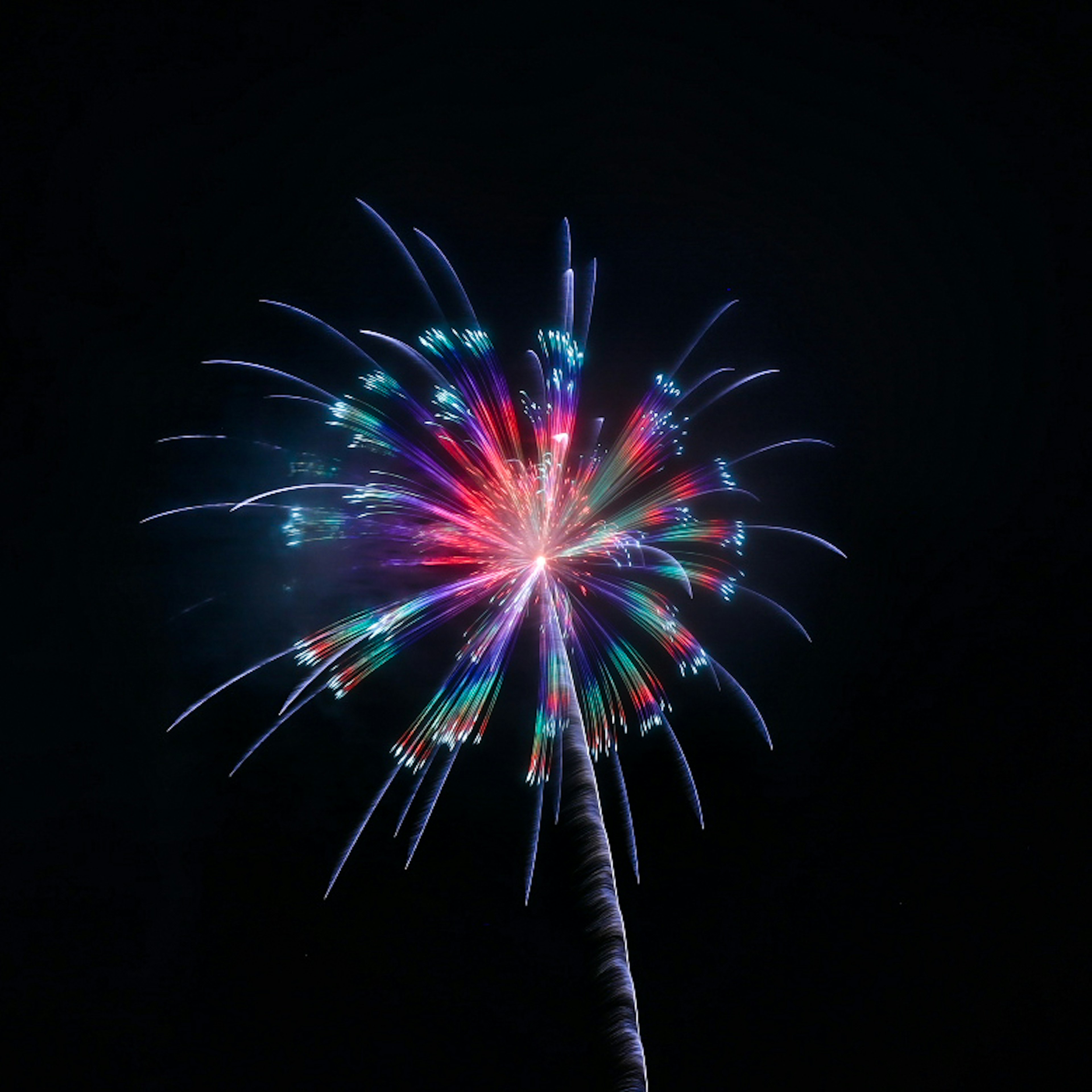 Explosión de fuegos artificiales coloridos en el cielo nocturno