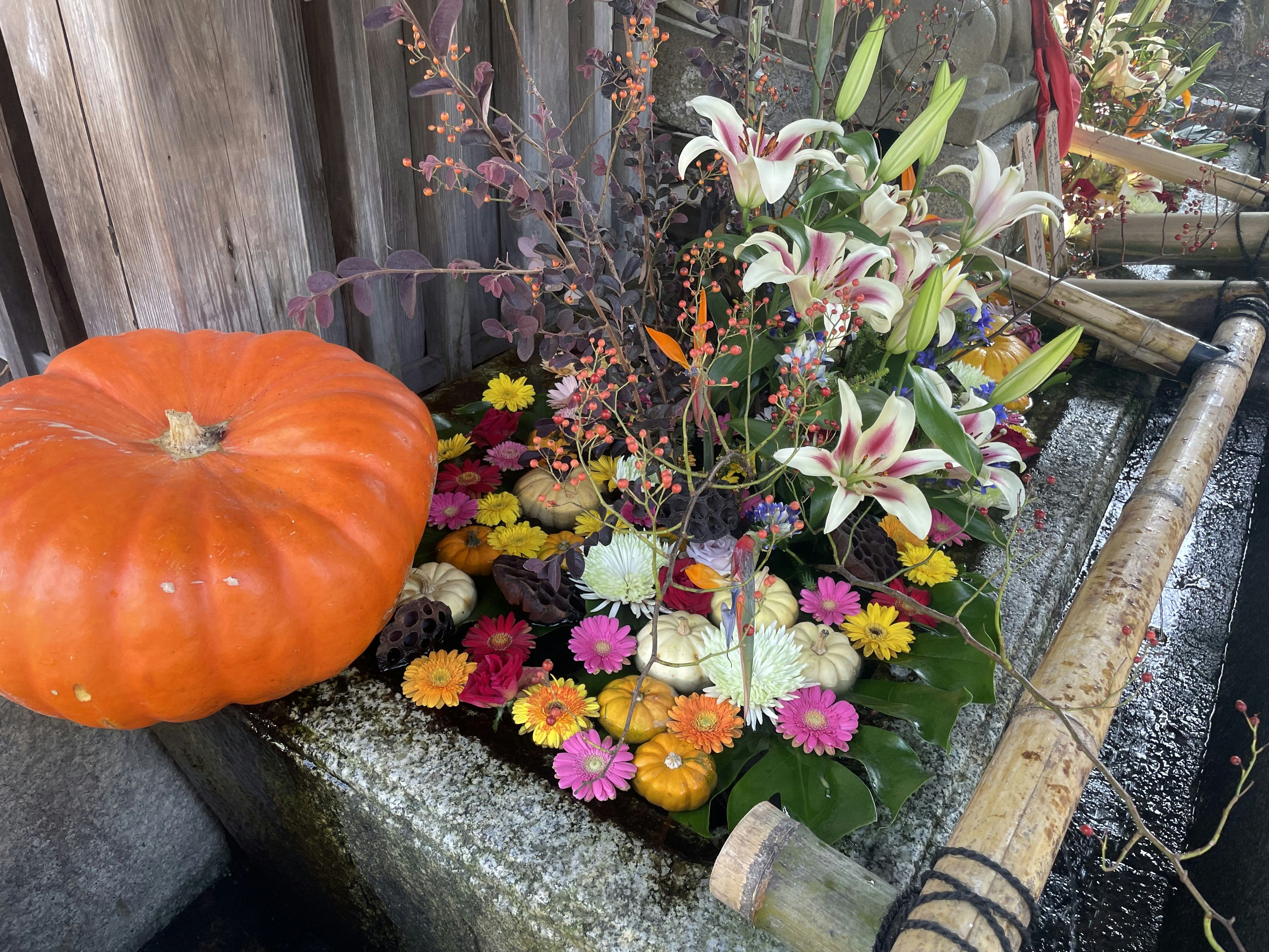 An orange pumpkin alongside a vibrant display of floating flowers in a water basin