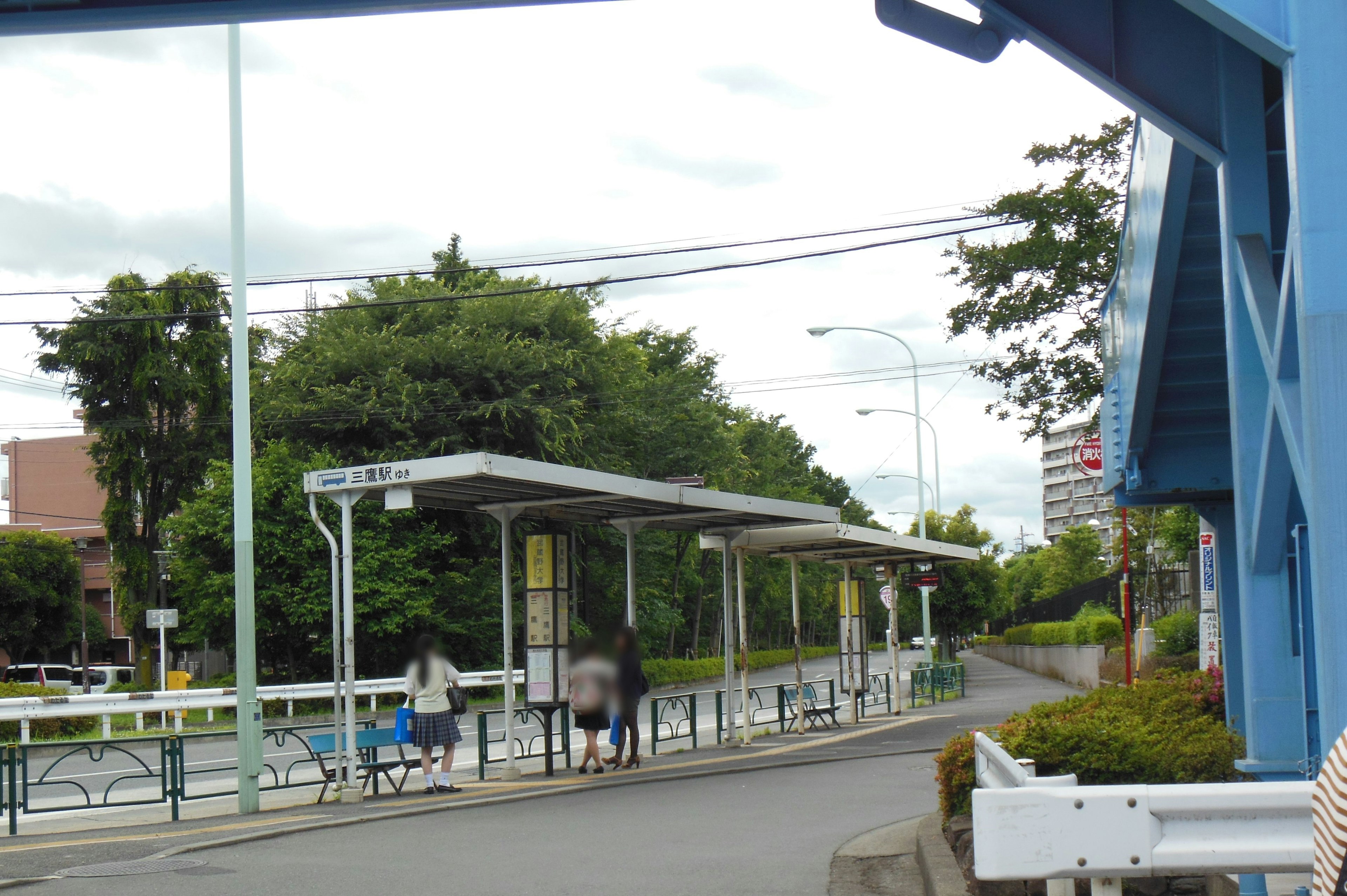 ป้ายรถเมล์ใต้สะพานสีน้ำเงินพร้อมภูมิทัศน์สีเขียวที่อุดมสมบูรณ์ในพื้นหลัง