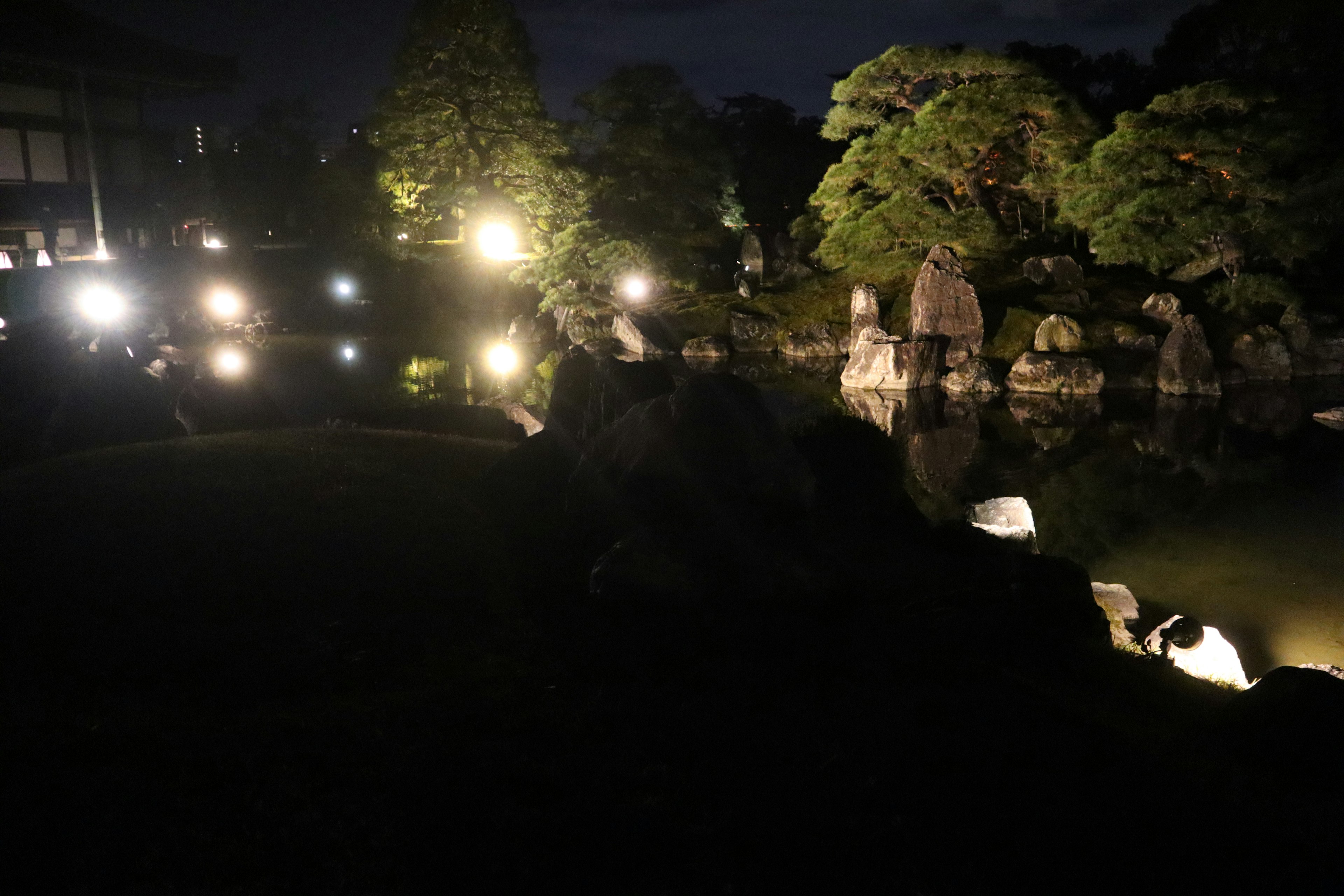 Pemandangan taman malam yang diterangi lampu dengan pengaturan batu dan pohon yang indah