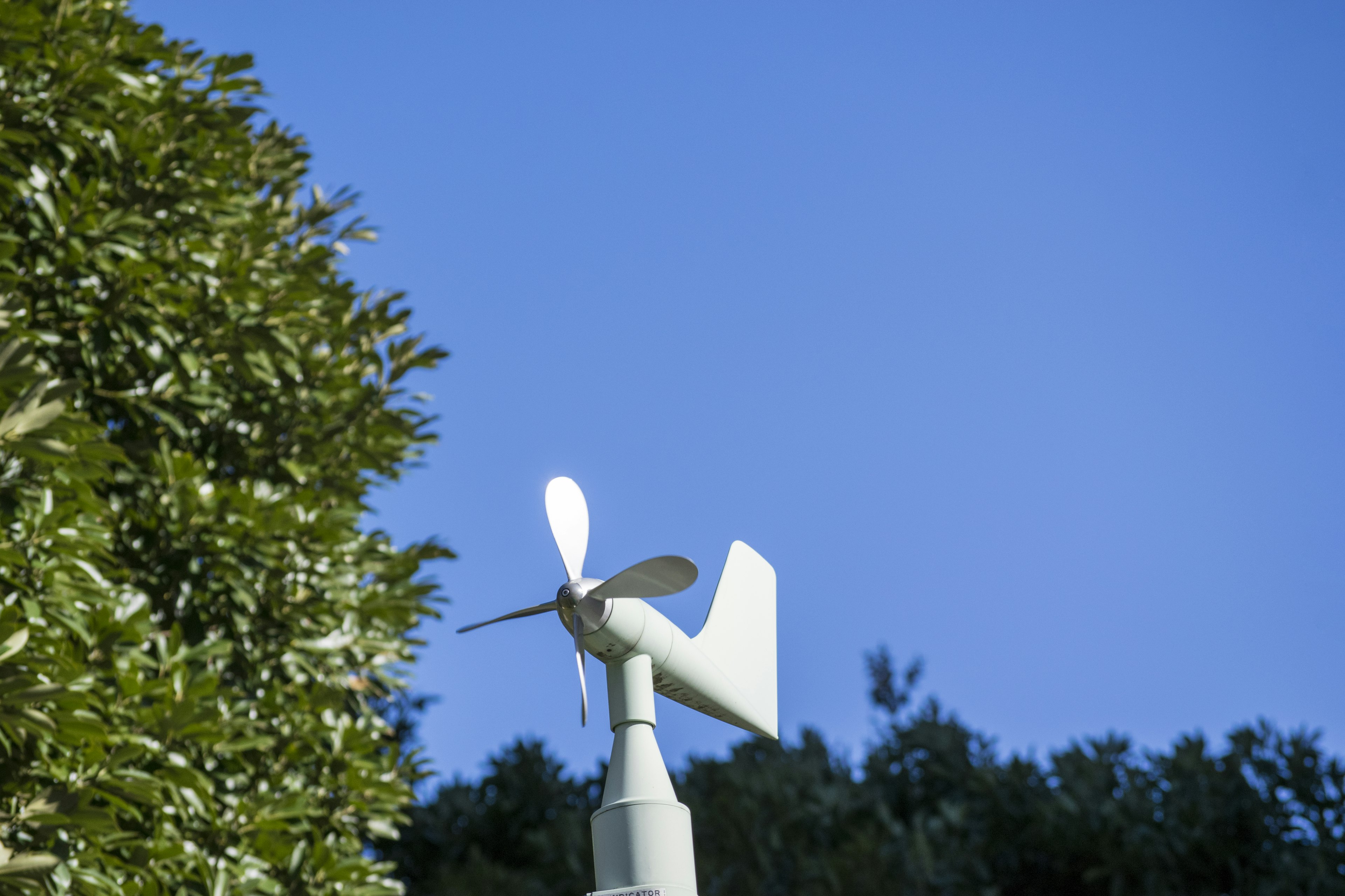 An anemometer with white blades against a blue sky and green foliage